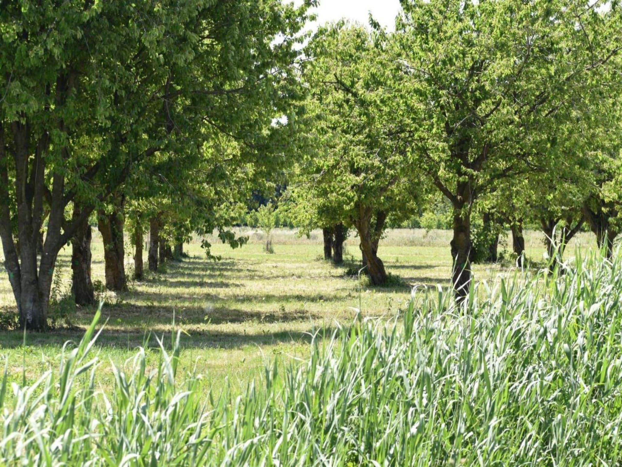 Villa Bosrijk in Zeewolde - Foto 31 van 40