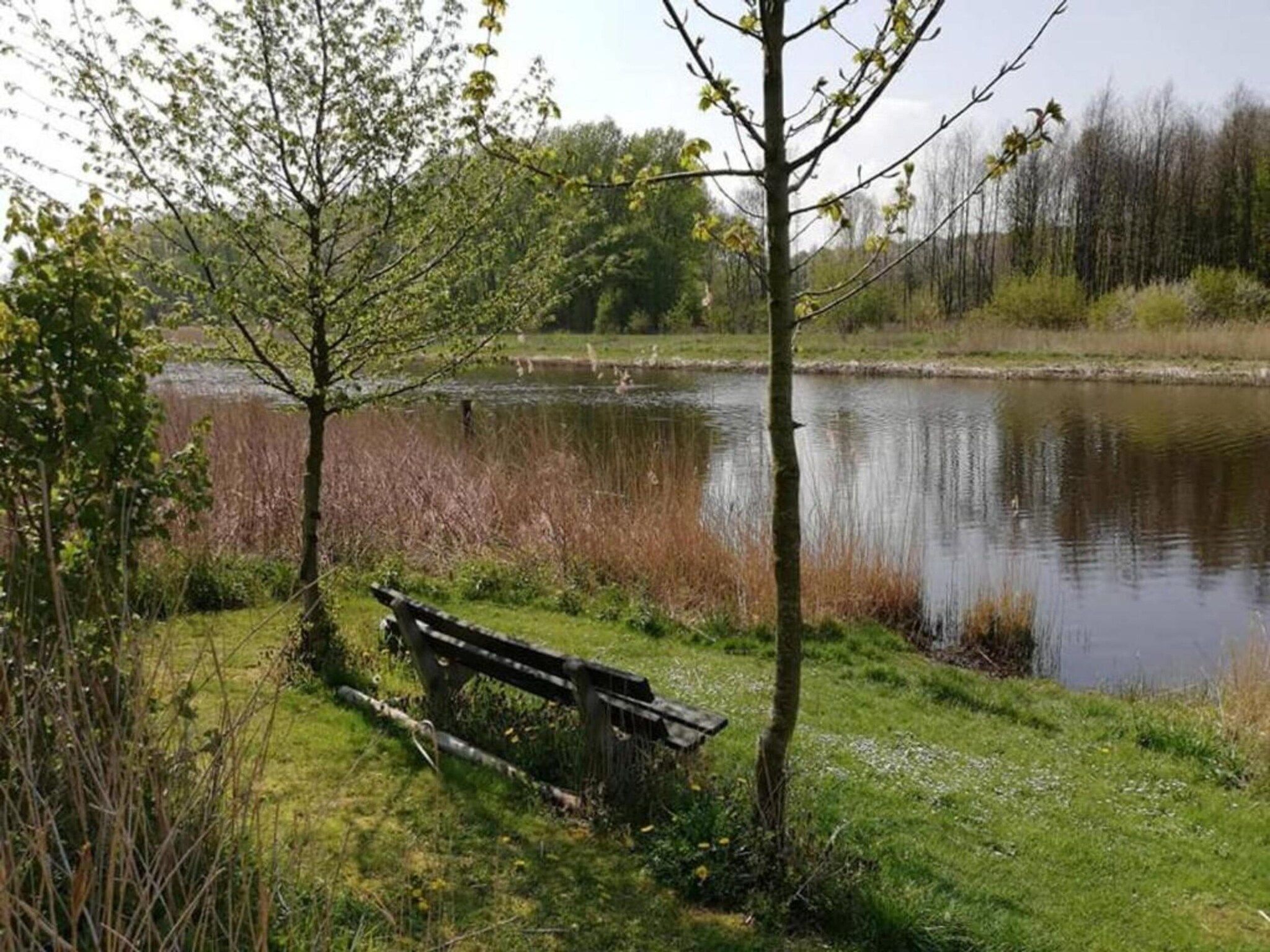 Villa Bosrijk in Zeewolde - Foto 39 van 40