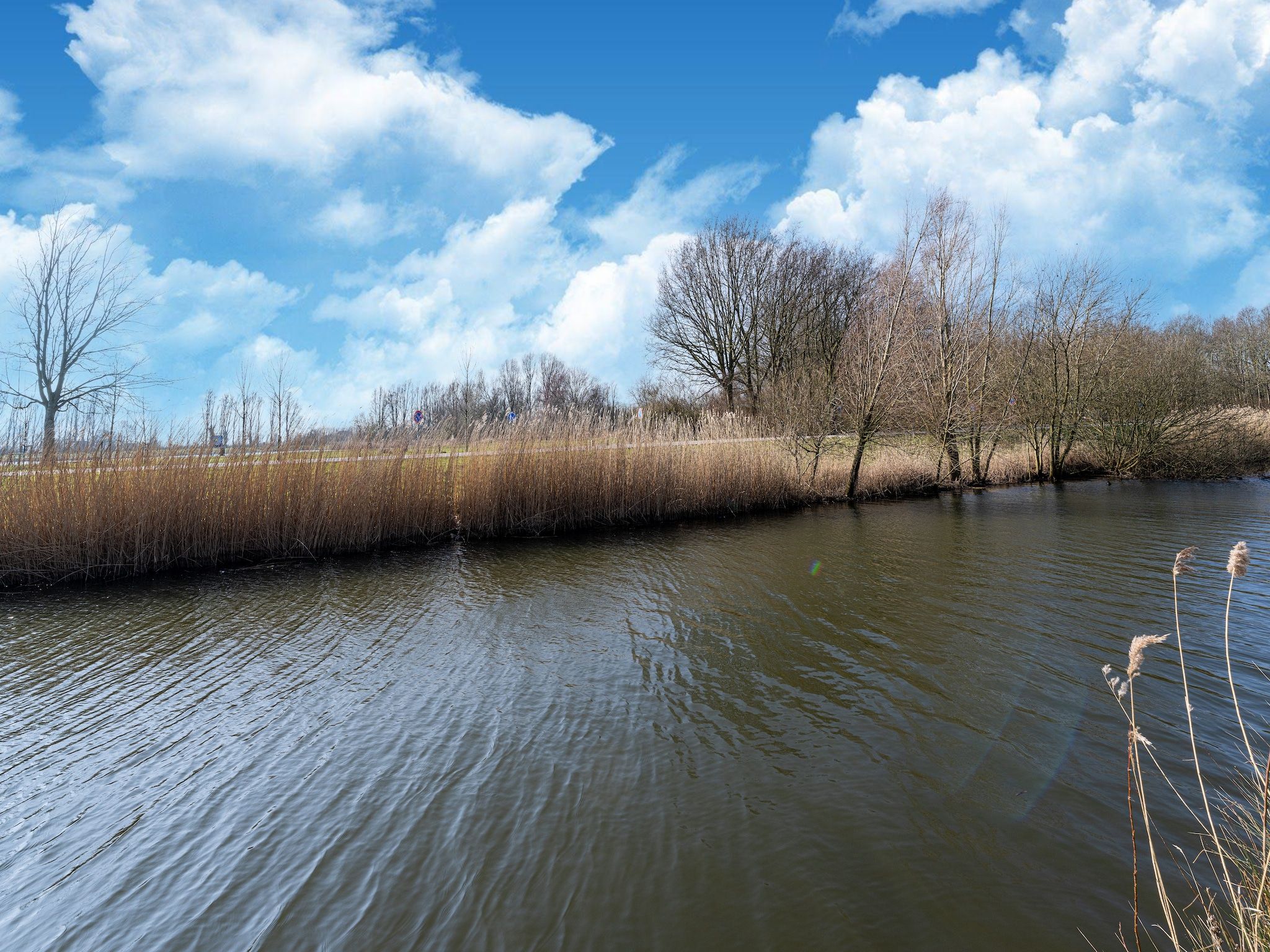 De omgeving van Kuifduiker 124 in Simonshaven