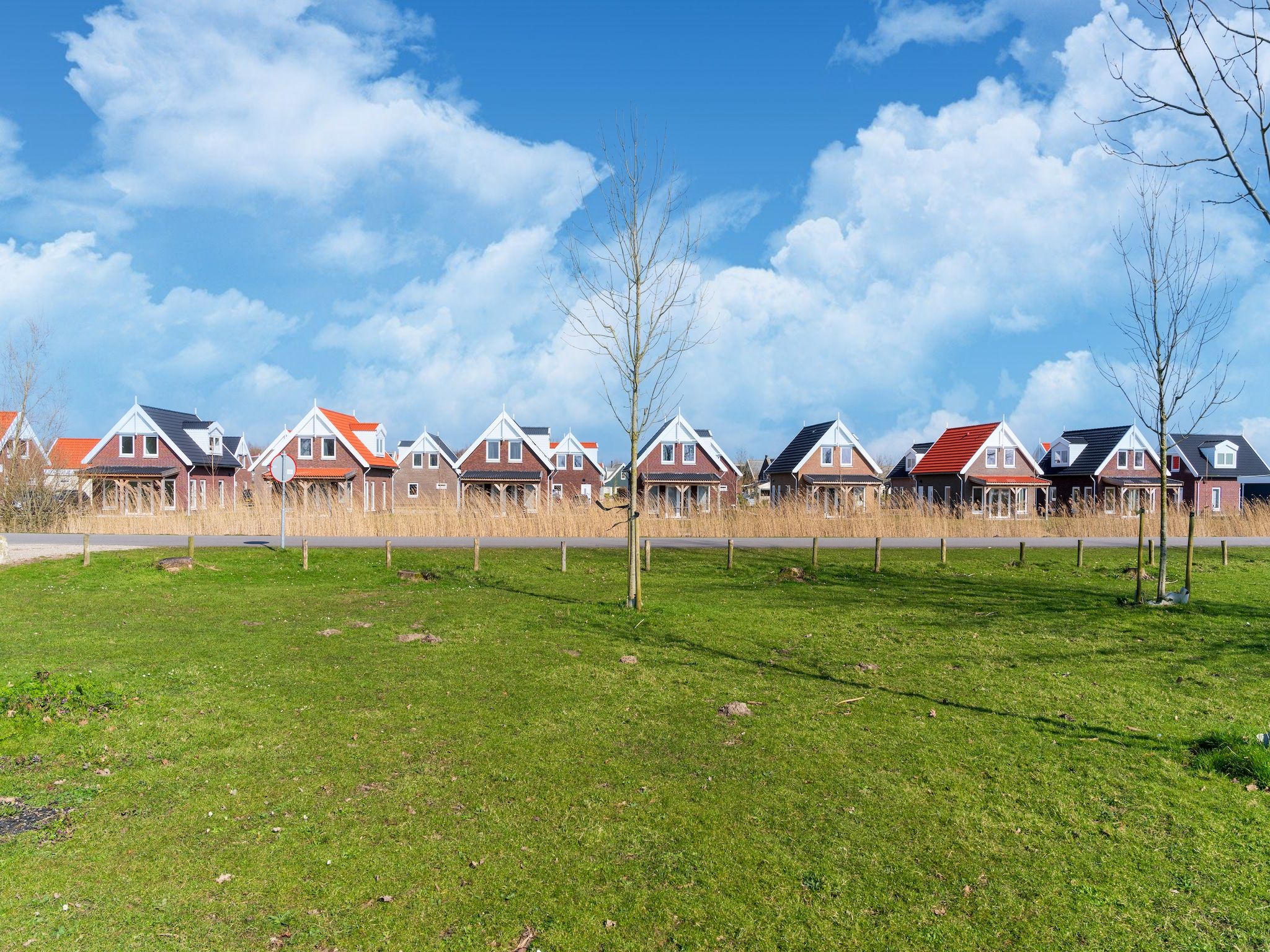 Kuifduiker 124 in Simonshaven - Foto 25 van 40