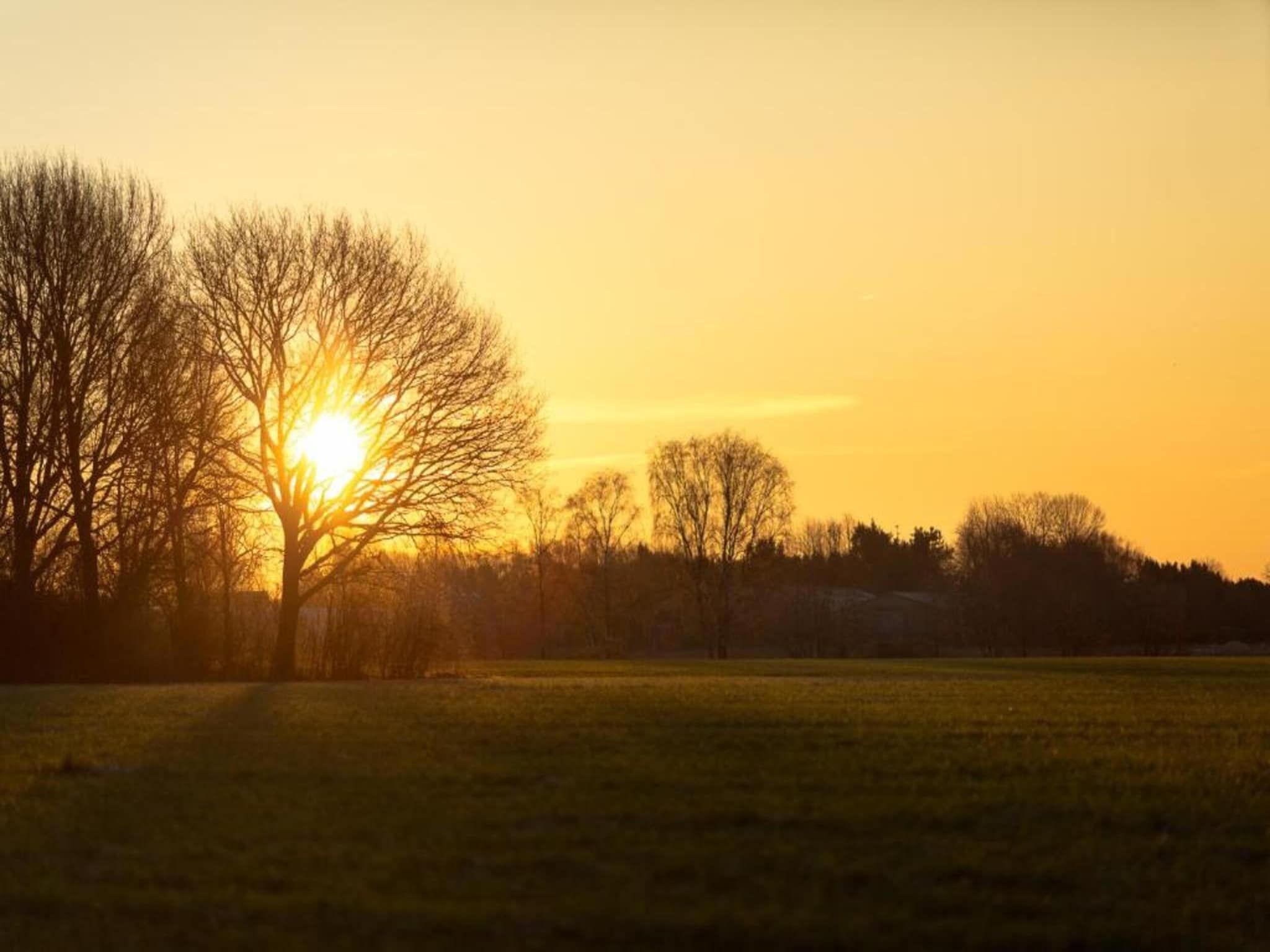 Vakantiepark Latour 4 in Oirschot - Foto 38 van 40