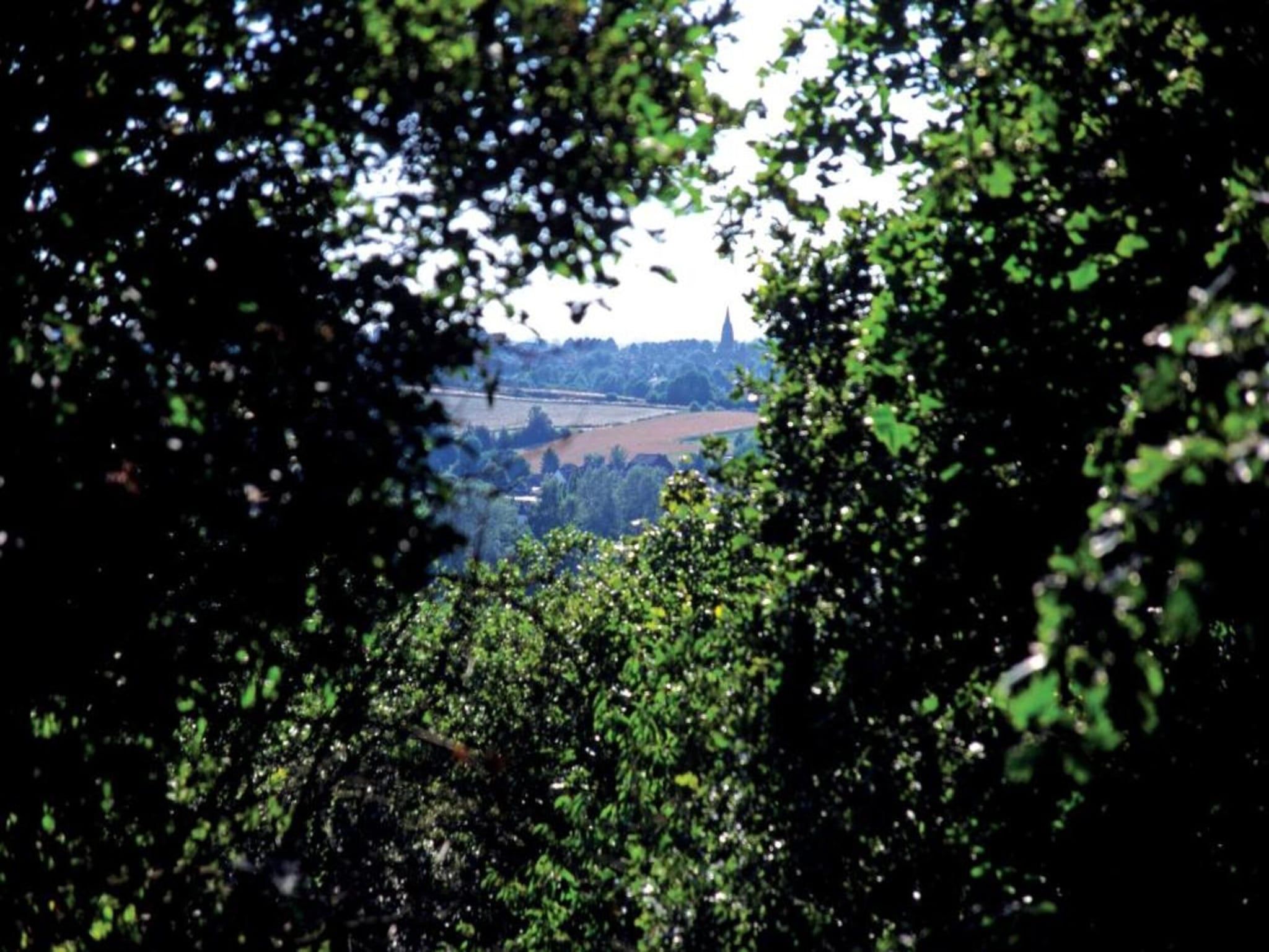 Vakantiepark Klein Vink 23 in Arcen - Foto 31 van 40