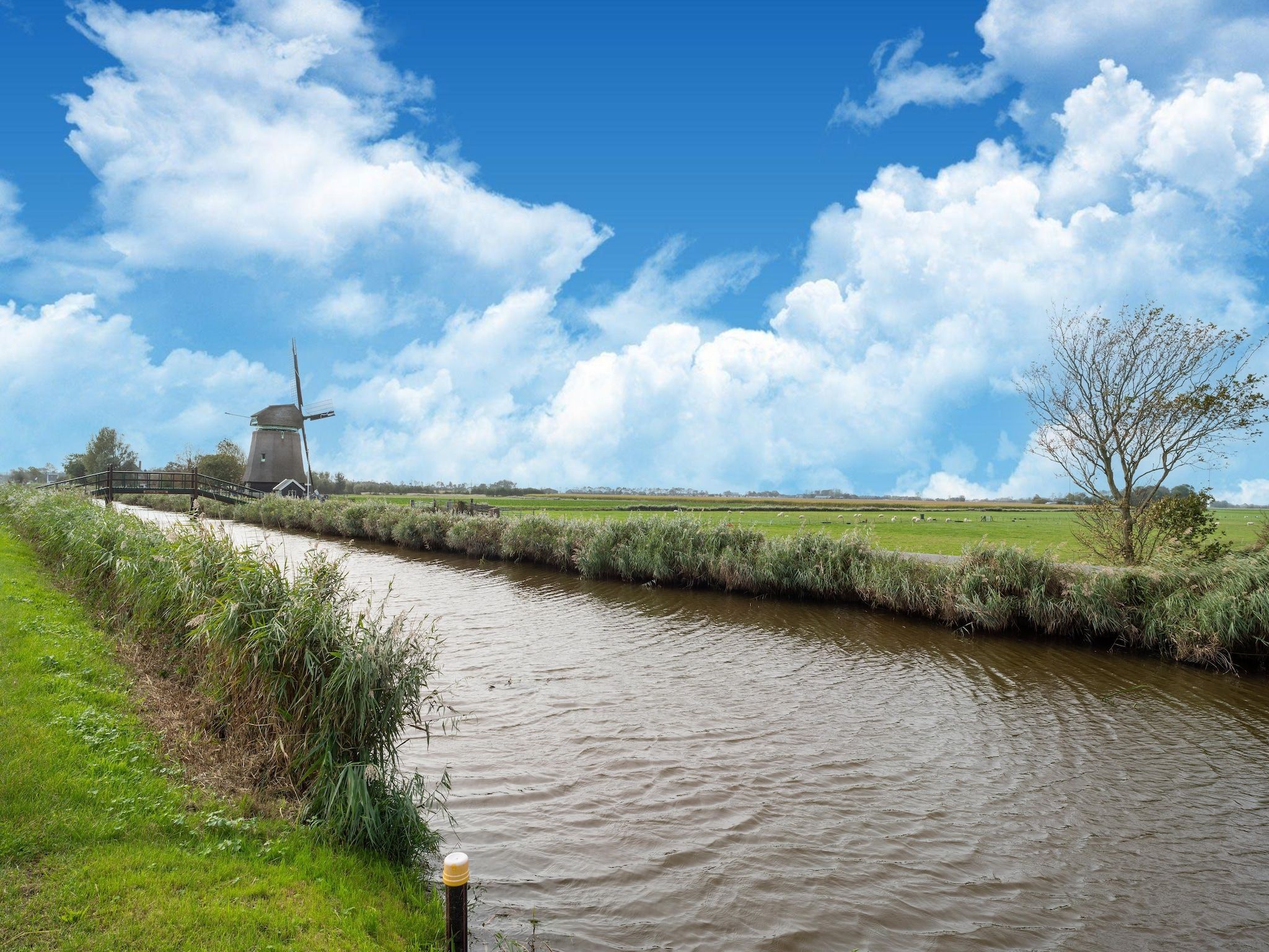 Tiny House in Burgerbrug - Foto 37 van 40