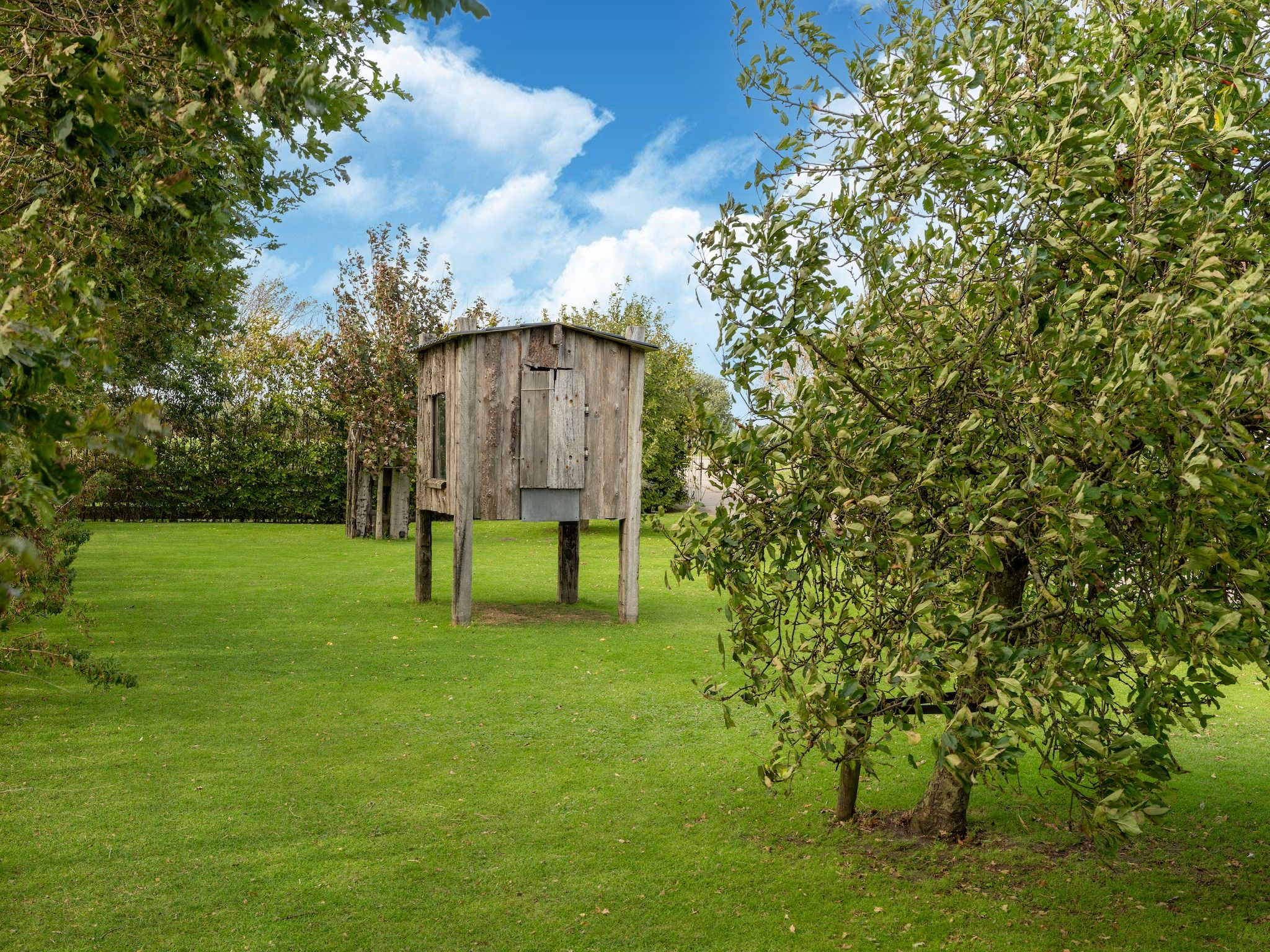 De tuin van Tiny House in Burgerbrug