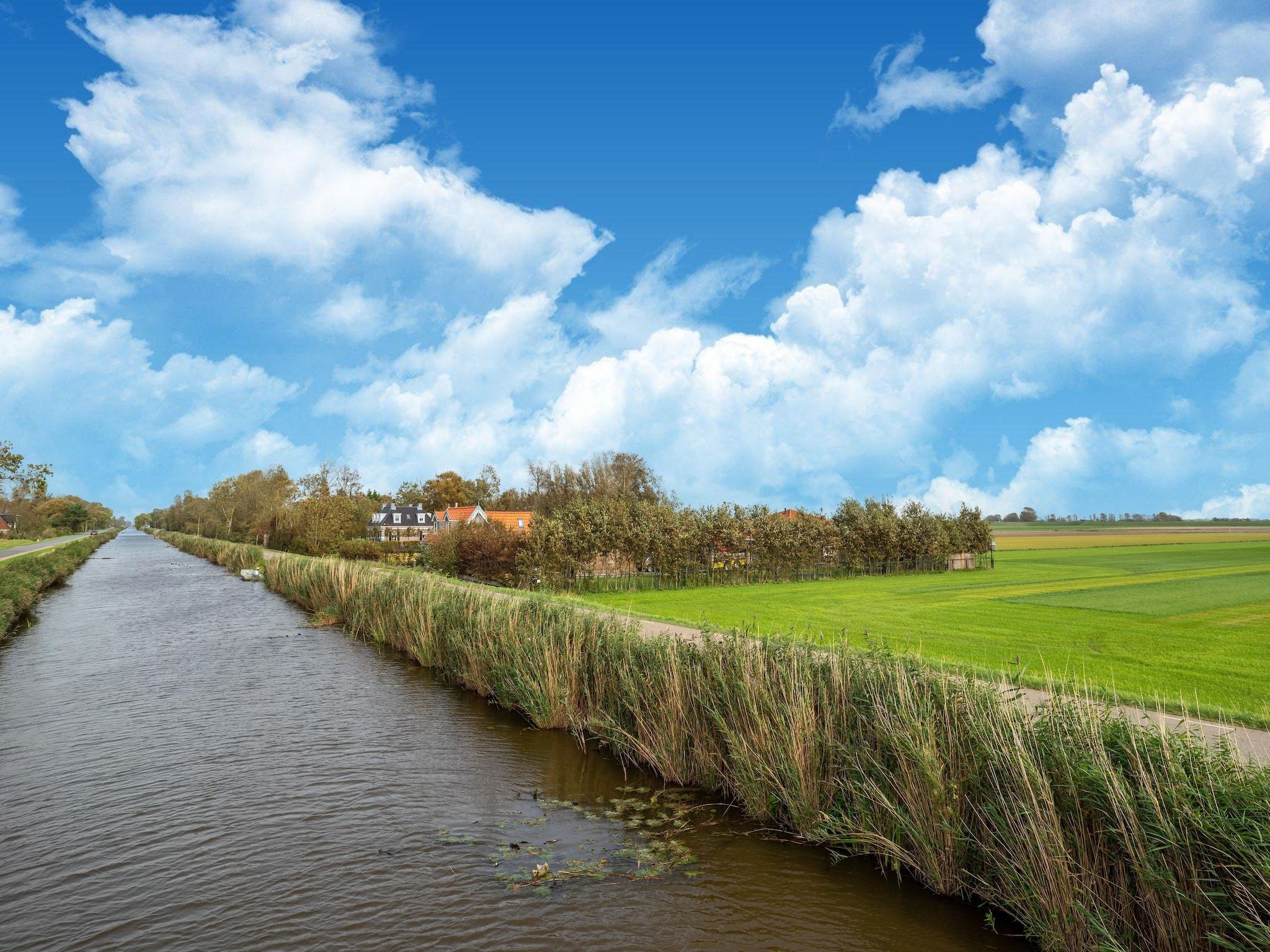 De omgeving van Tiny House in Burgerbrug