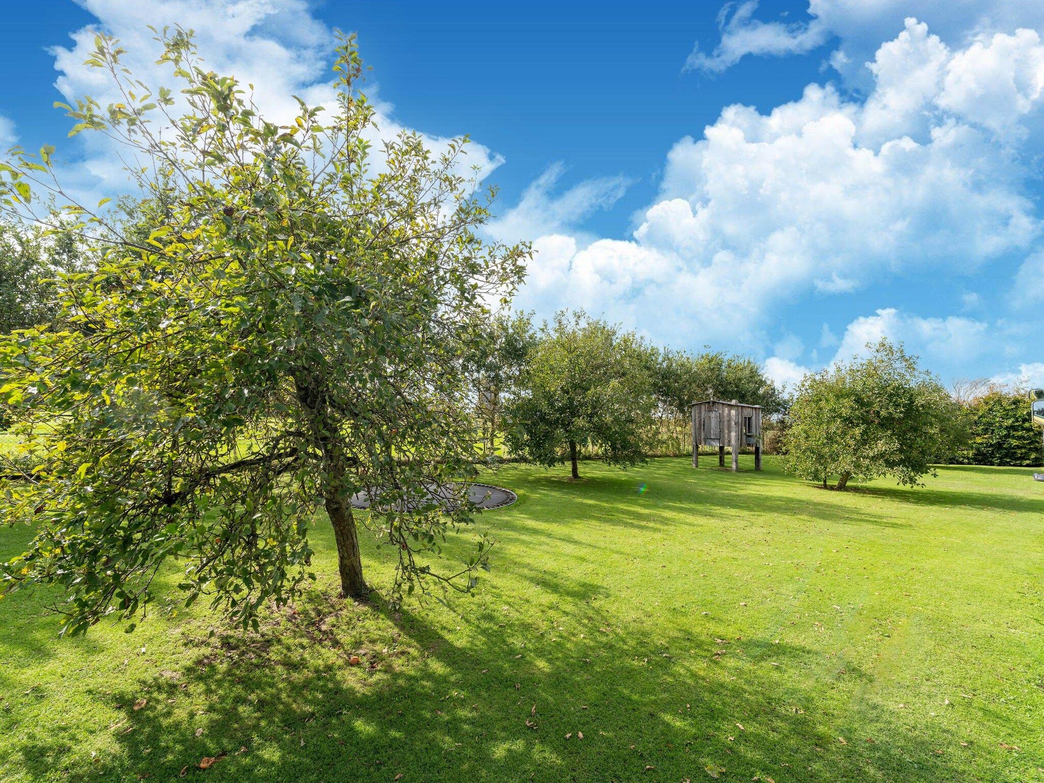 Tiny House in Burgerbrug - Foto 30 van 40