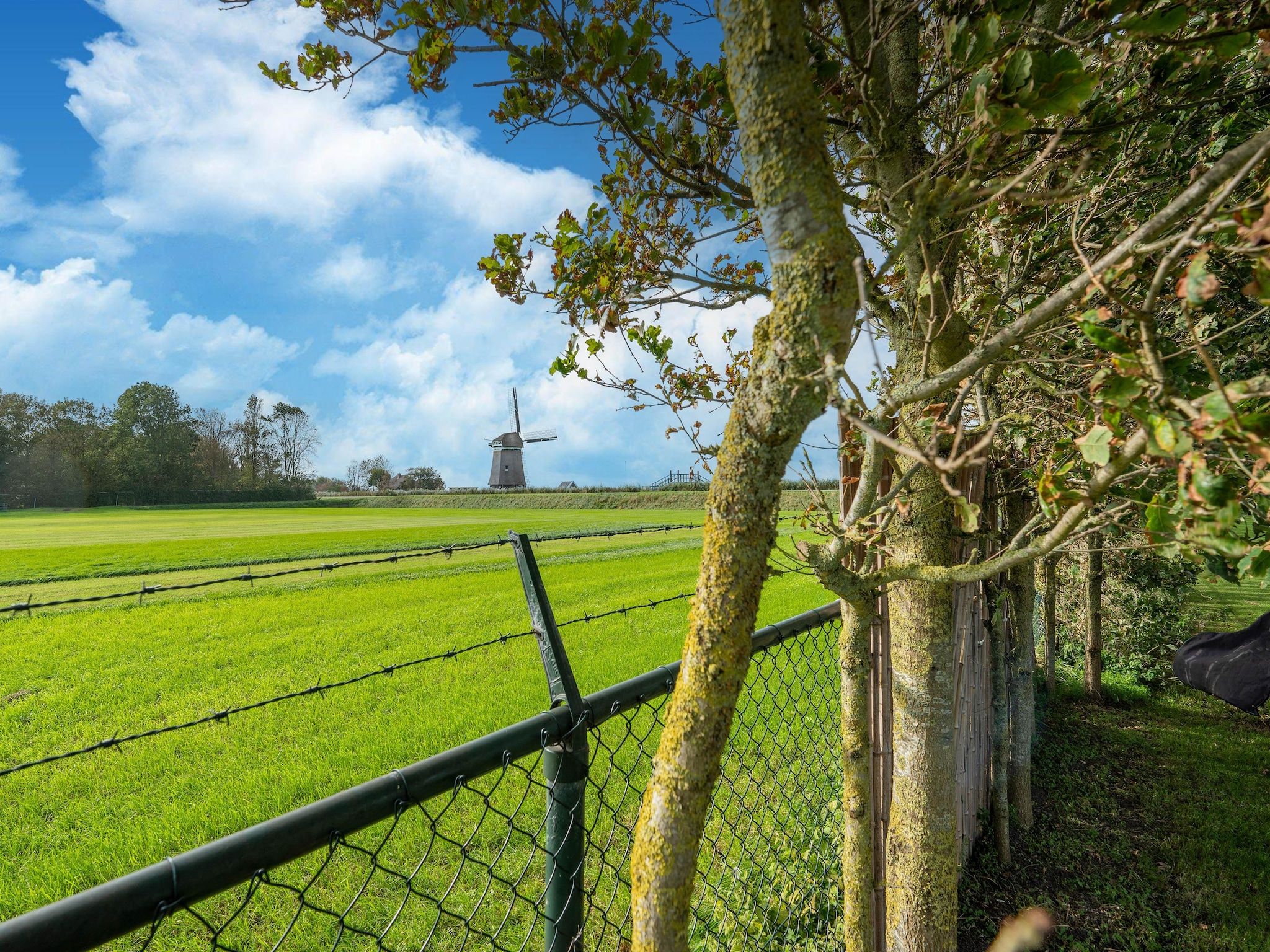 Het uitzicht vanaf Tiny House in Burgerbrug