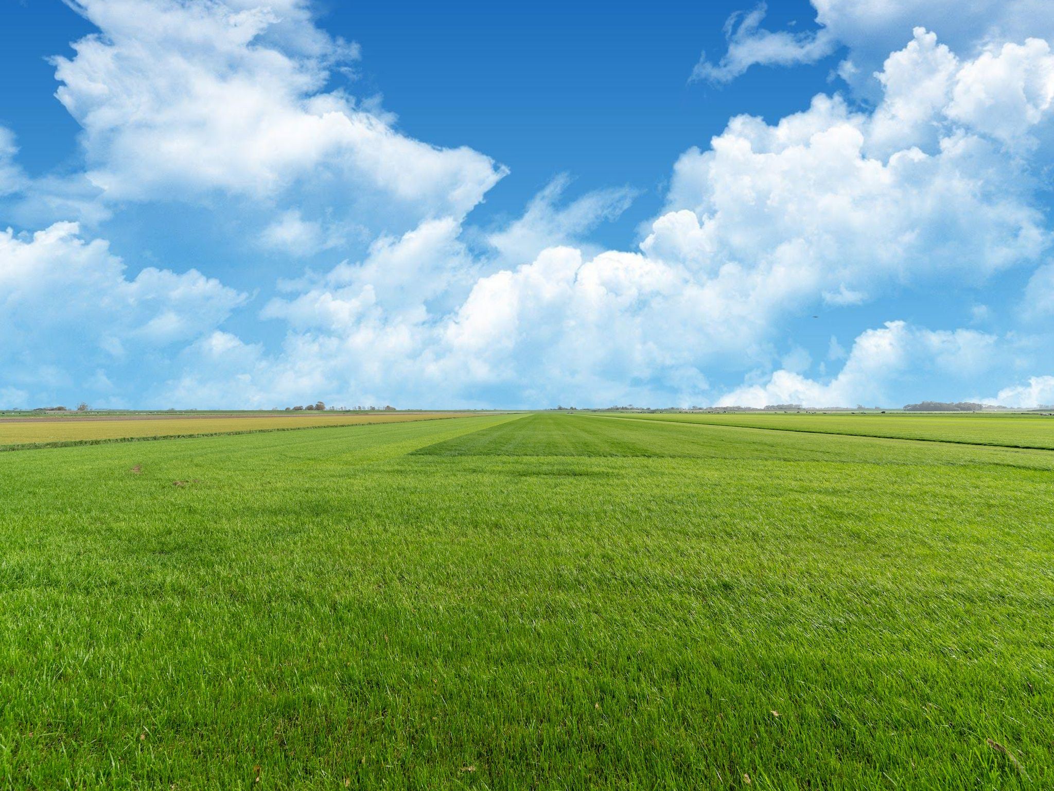 De omgeving van Tiny House in Burgerbrug