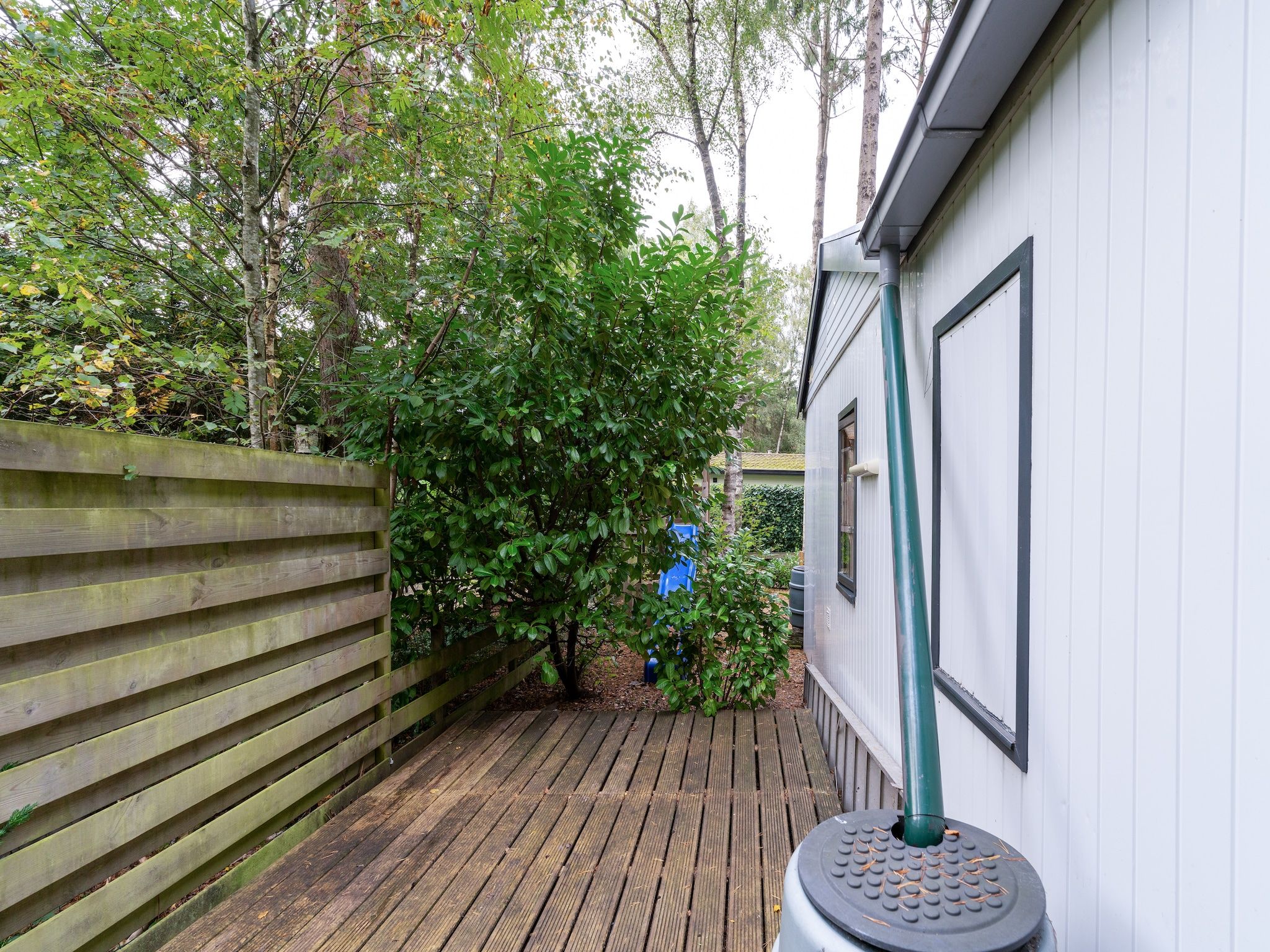 Het terras van Boshuisje Joy in Gelderland