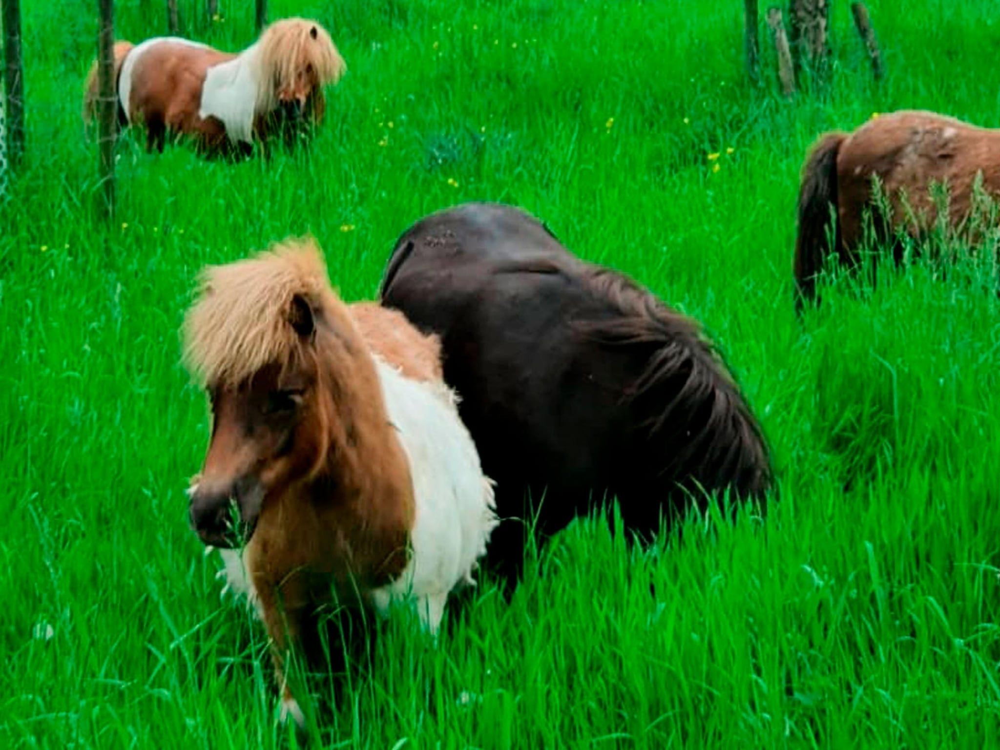 Het uitzicht vanaf BnB van Duin in Steenderen