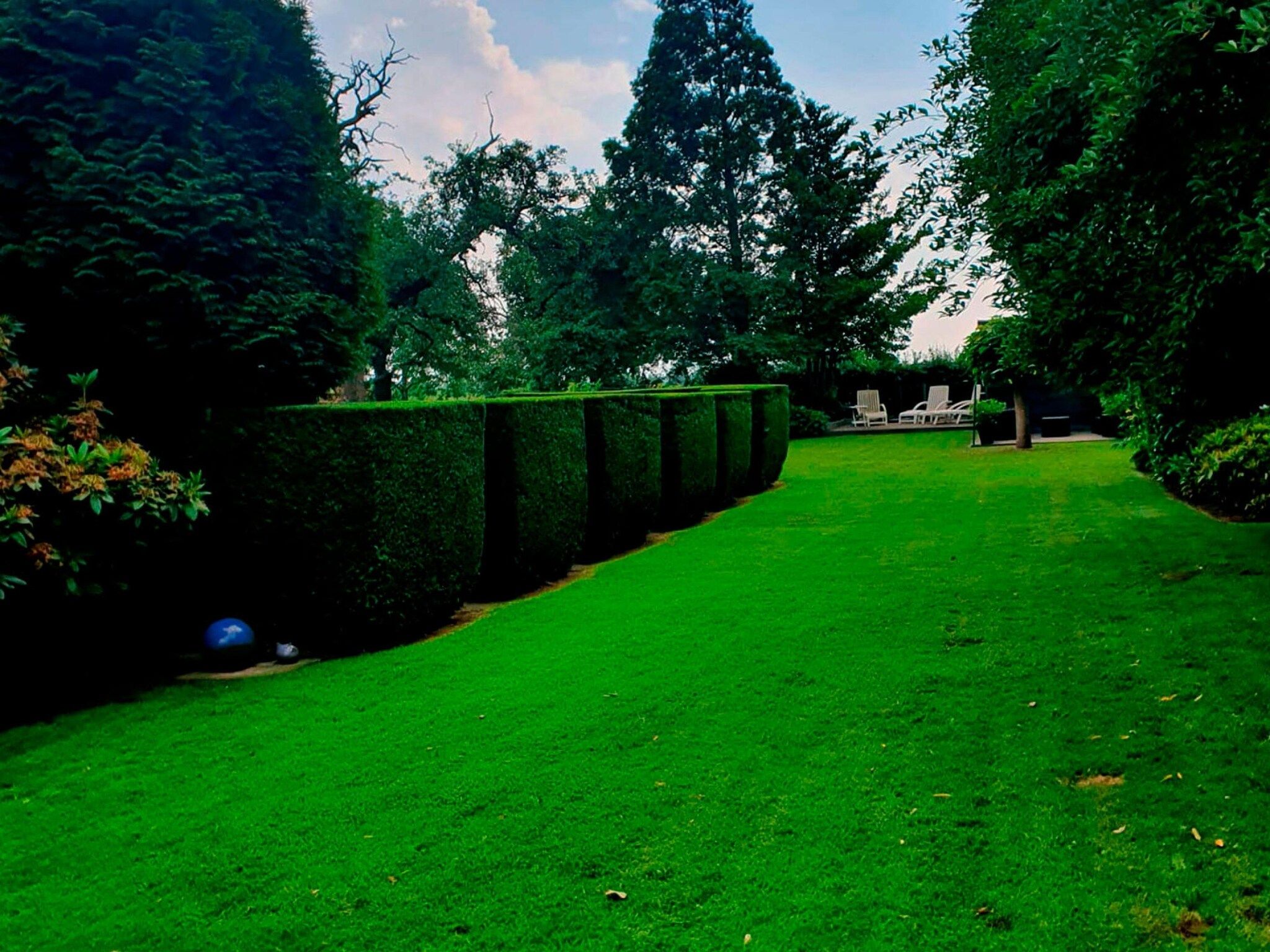 De tuin van BnB van Duin in Steenderen