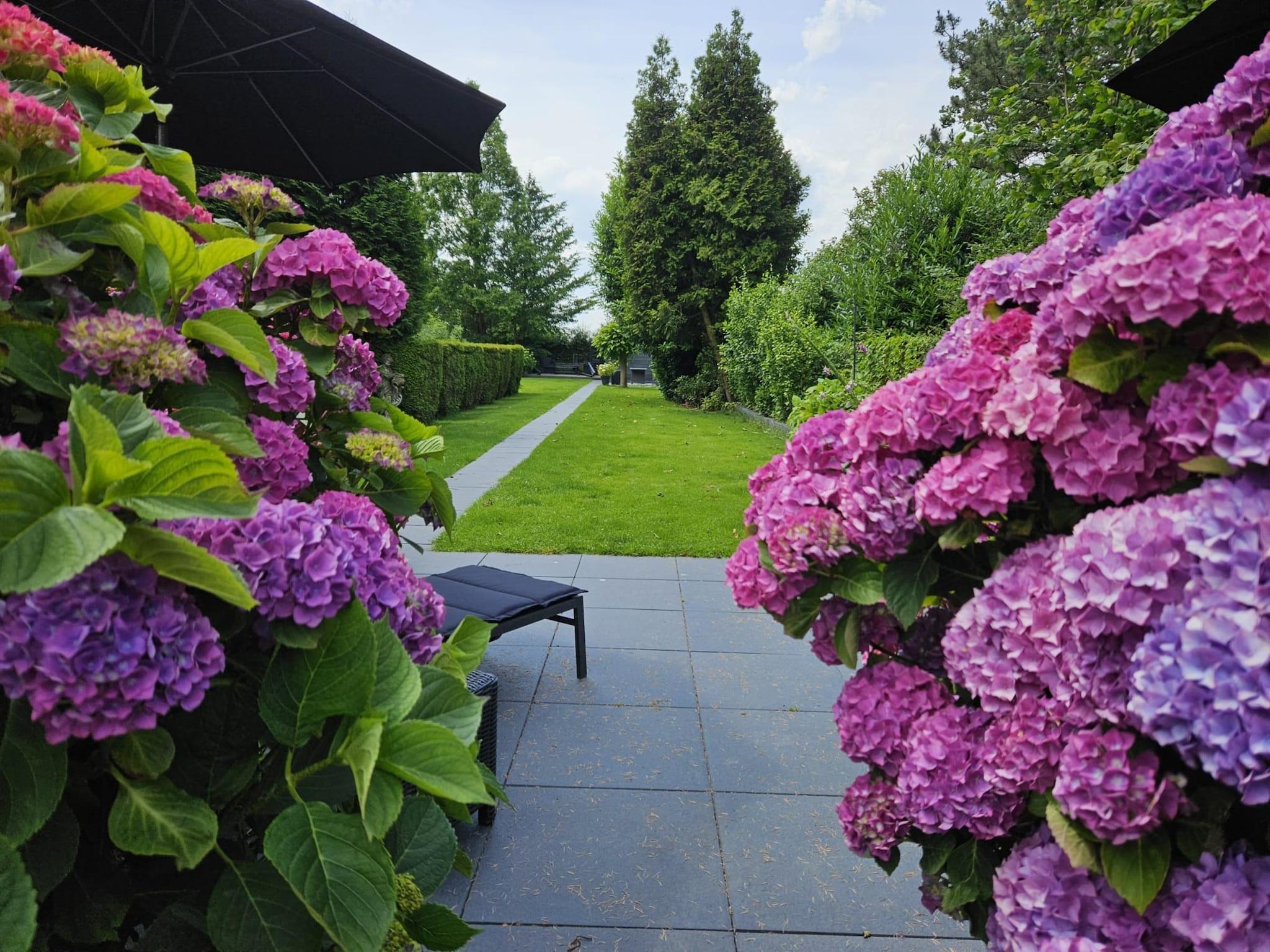 De tuin van BnB van Duin in Steenderen