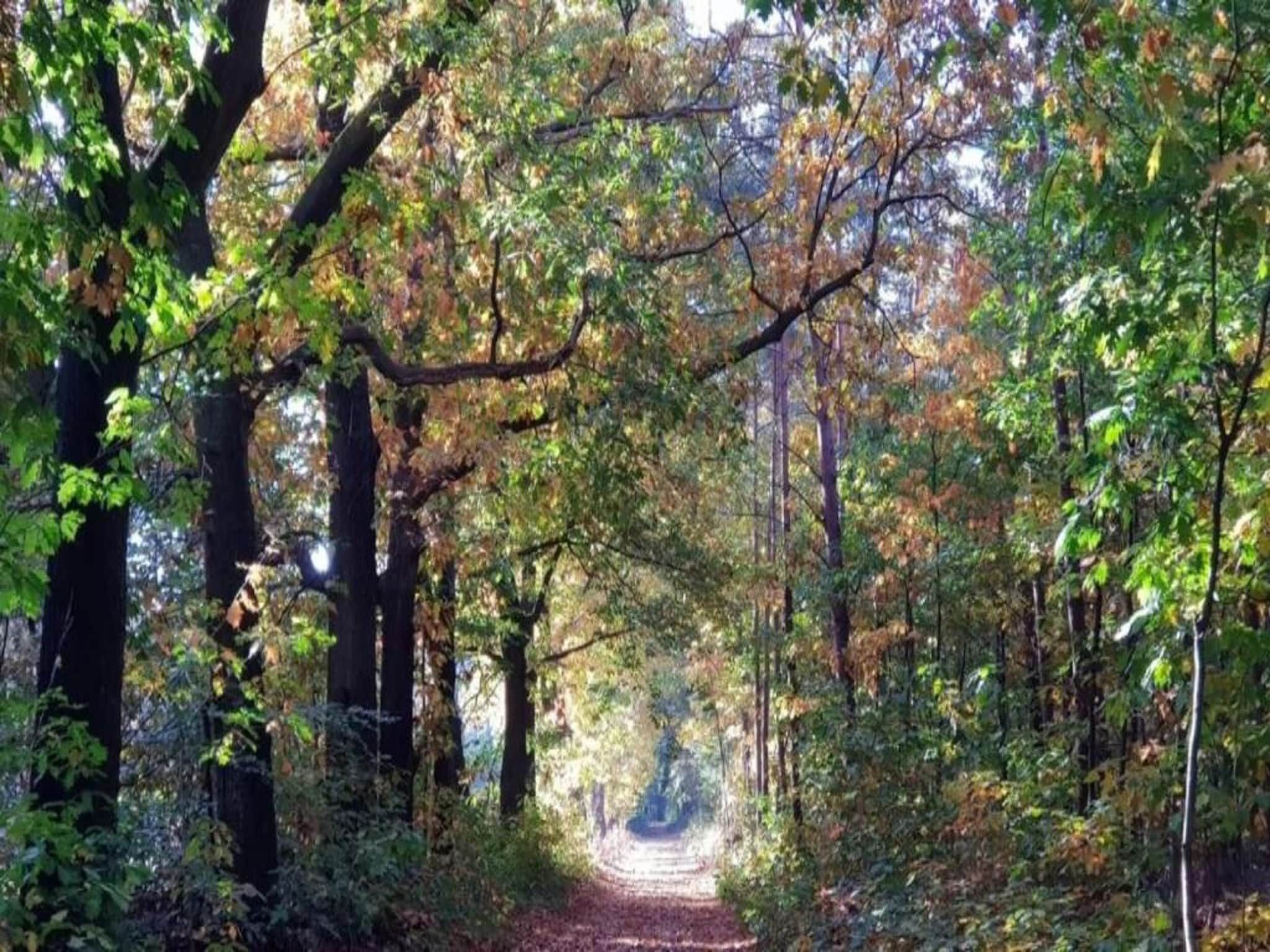 De omgeving van Vakantiewoning het Bakhuis Zeumershof 4 pax in Voorthuizen