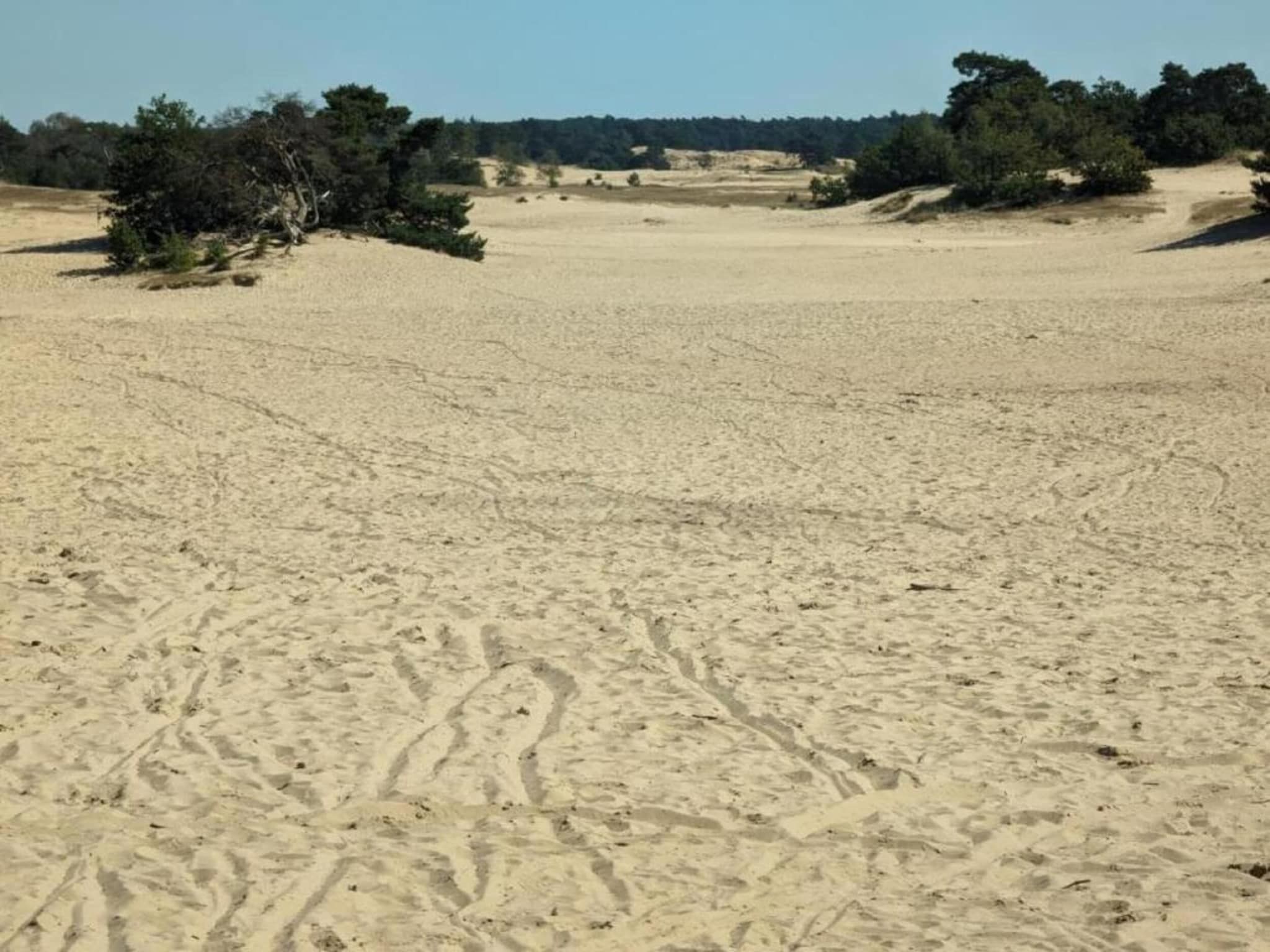 De omgeving van Vakantiewoning het Bakhuis Zeumershof 4 pax in Voorthuizen