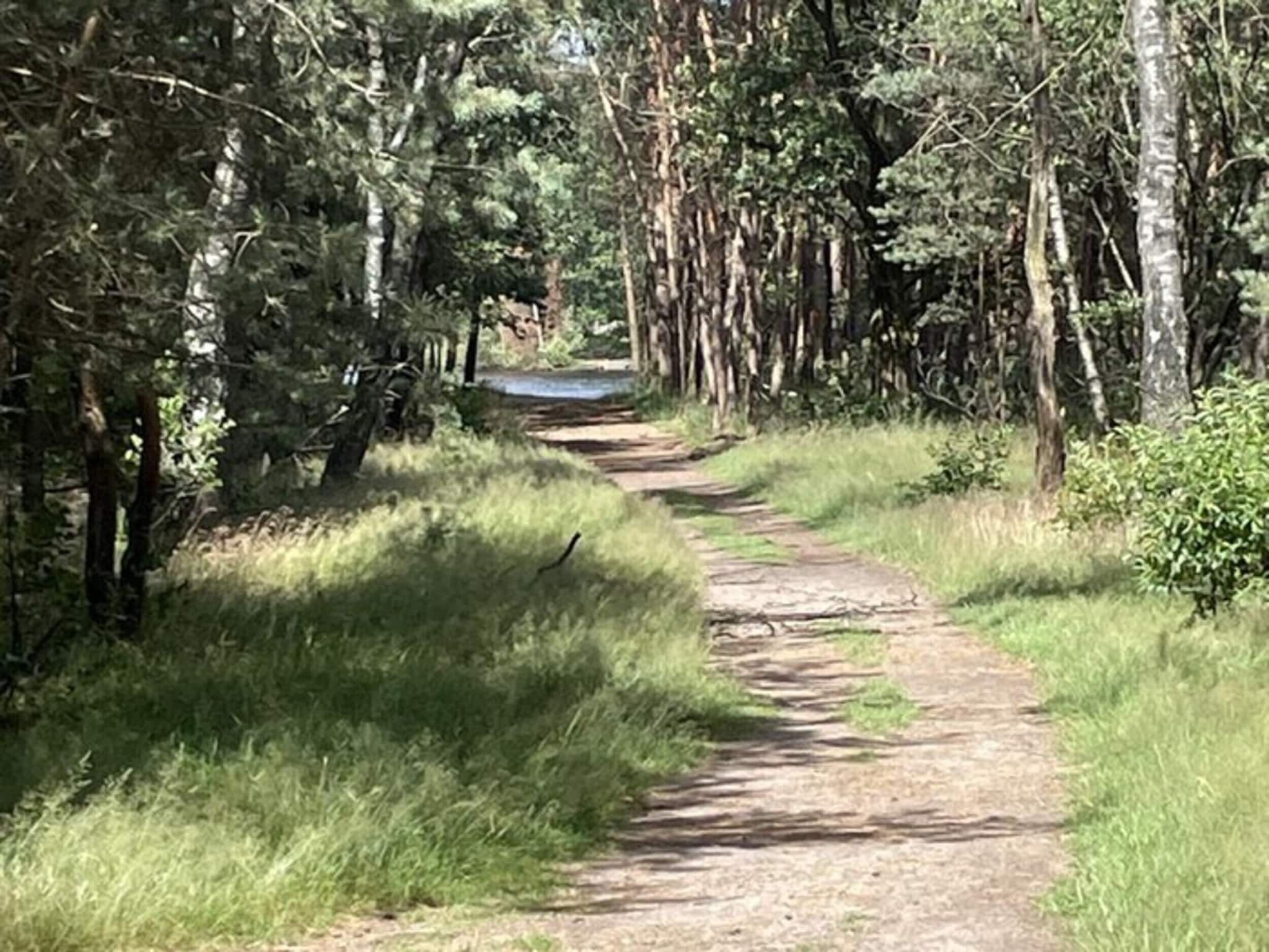 Dwergarend 17-01 in Voorthuizen - Foto 38 van 41