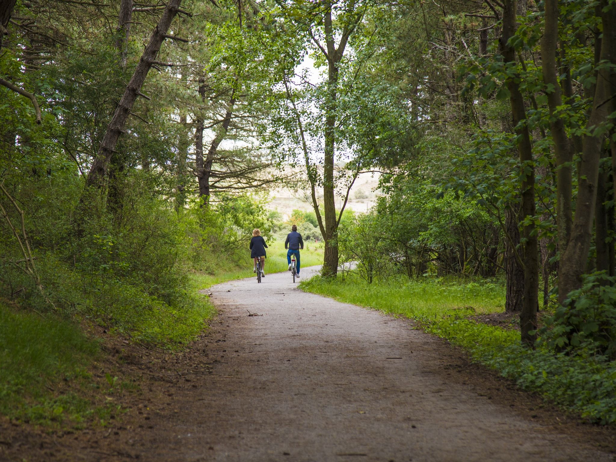 De omgeving van Vakantiepark Duinrust 2 in Noordwijk aan zee