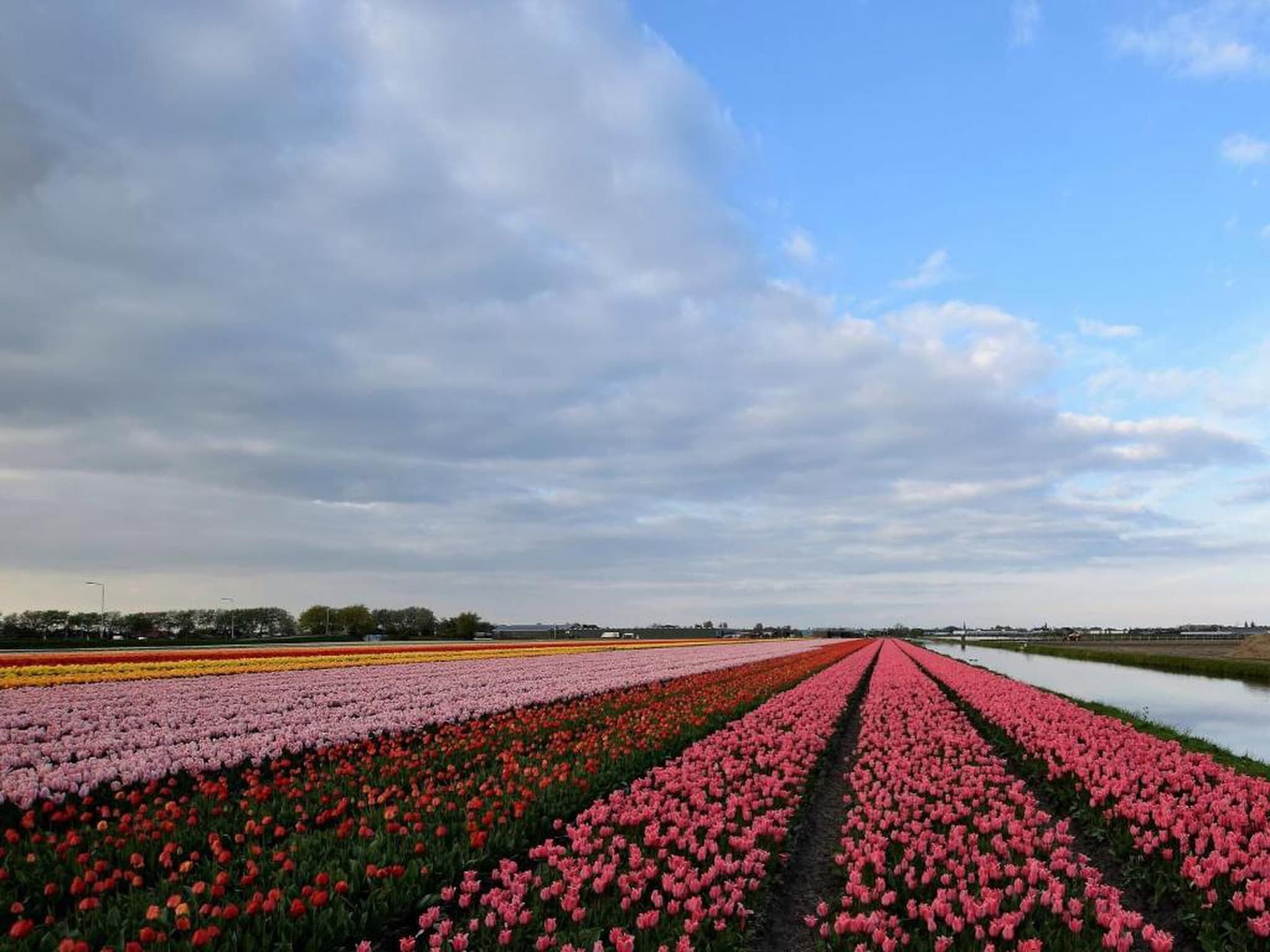 Vakantiepark Duinrust 2 in Noordwijk aan zee - Foto 30 van 40