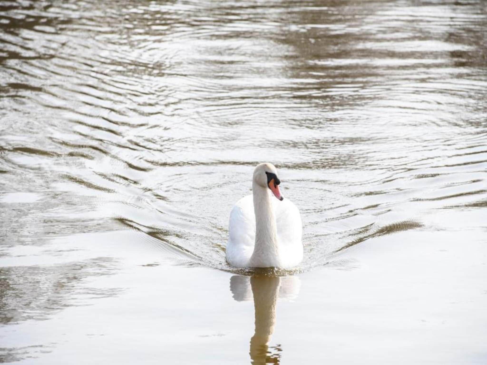 MarinaPark Nieuw Loosdrecht 2 in Nieuw-Loosdrecht - Foto 21 van 43