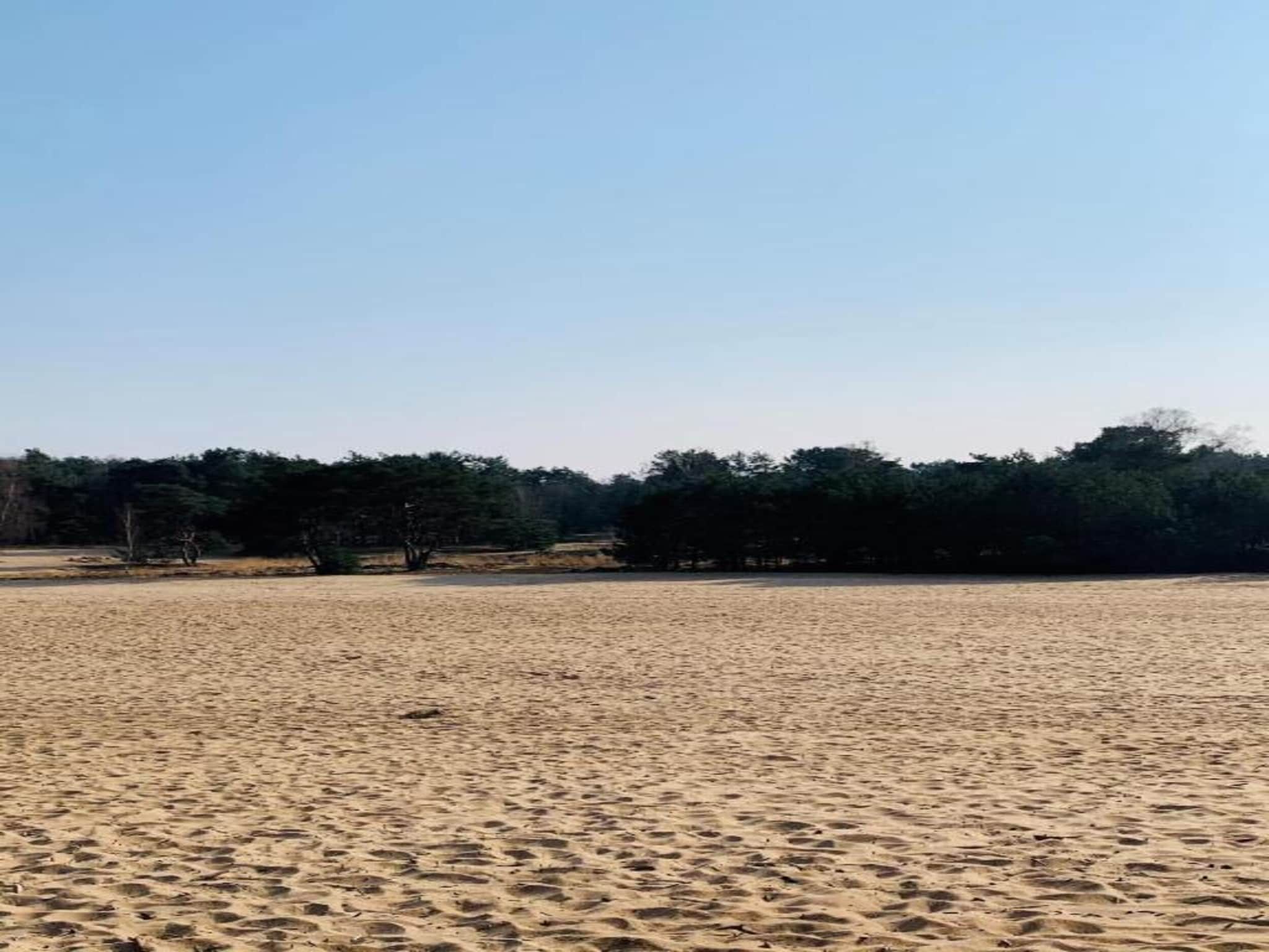 De omgeving van Vakantiepark Schaijk 13 in Schaijk