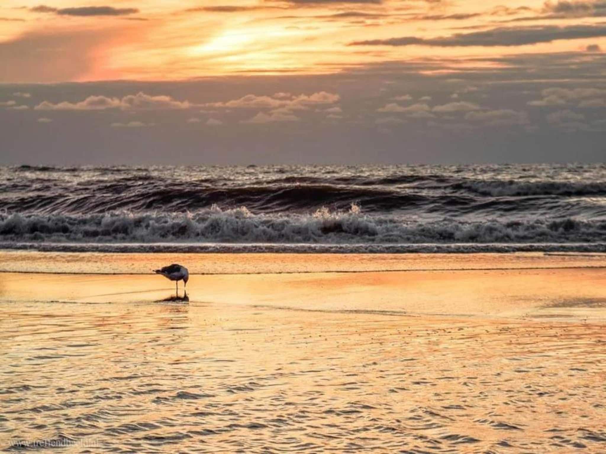 Vakantiepark Duinrust 3 in Noordwijk aan zee - Foto 33 van 40