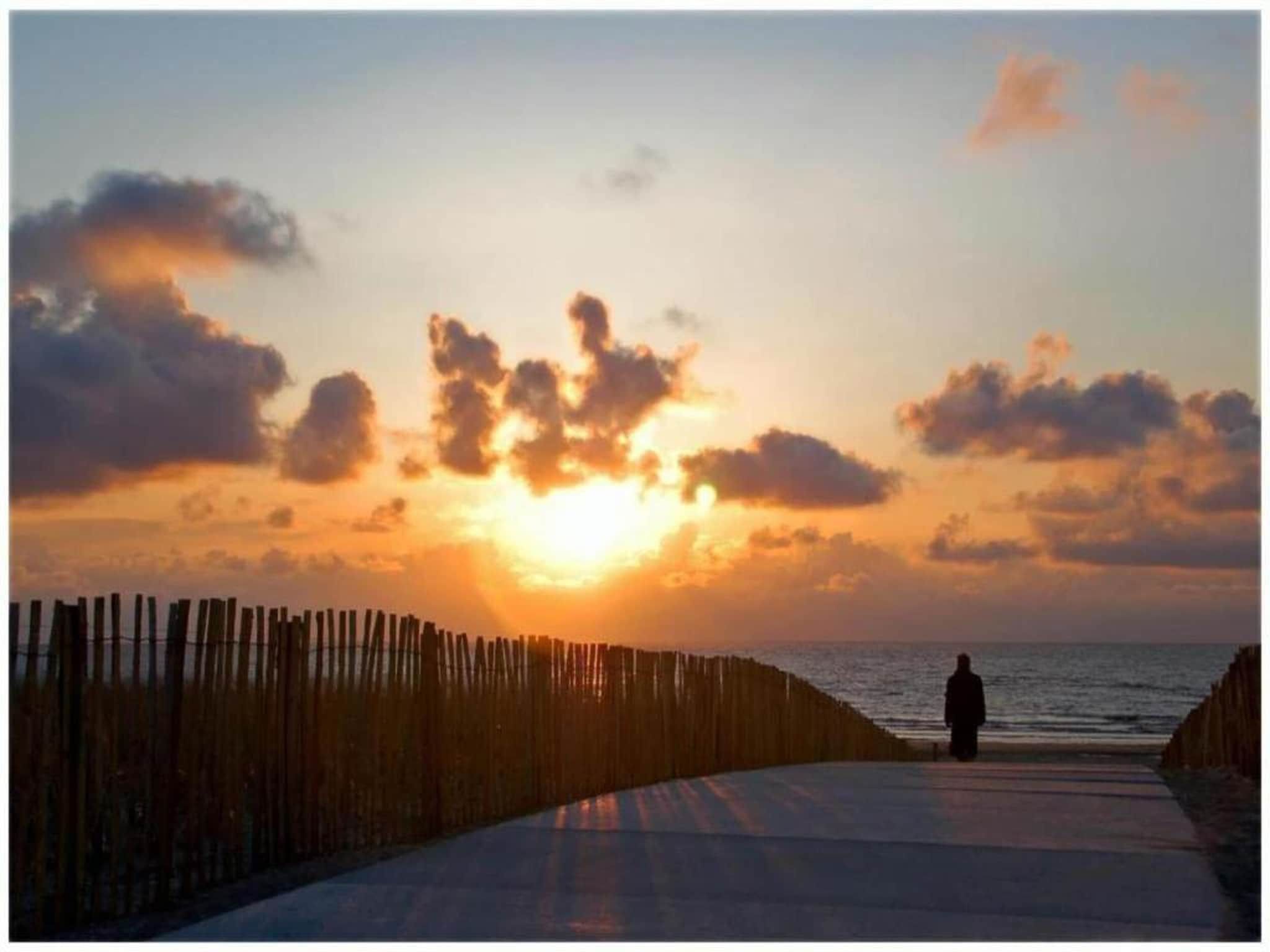 Vakantiepark Duinrust 3 in Noordwijk aan zee - Foto 32 van 40