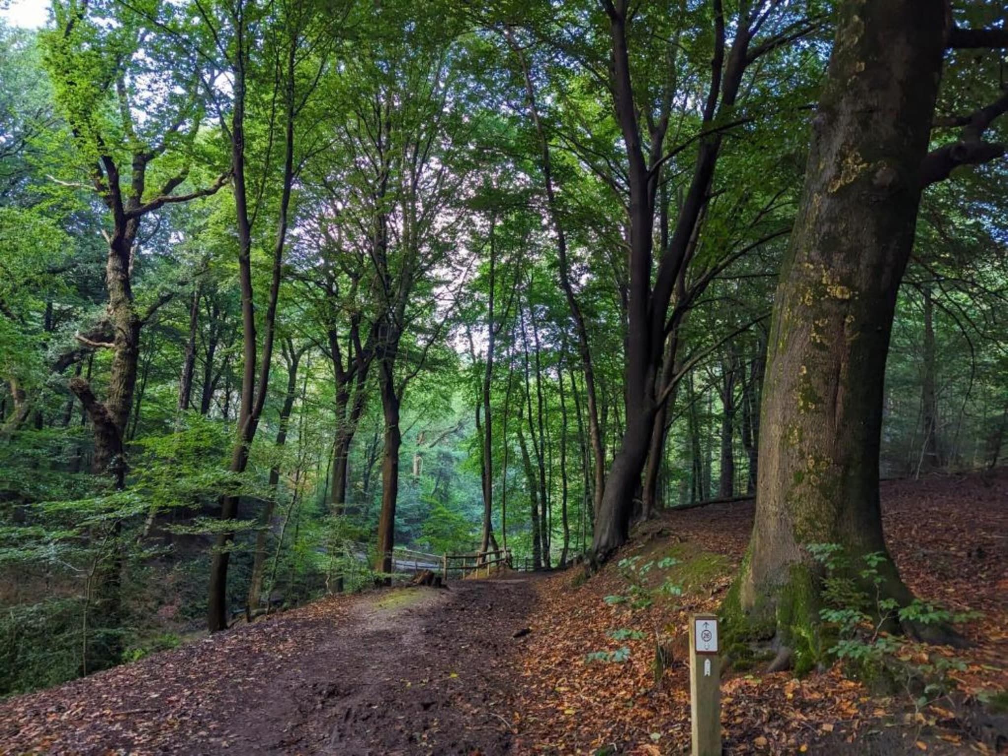 Vakantie bij Meeussen - Molendal 3 in Plasmolen - Foto 37 van 40