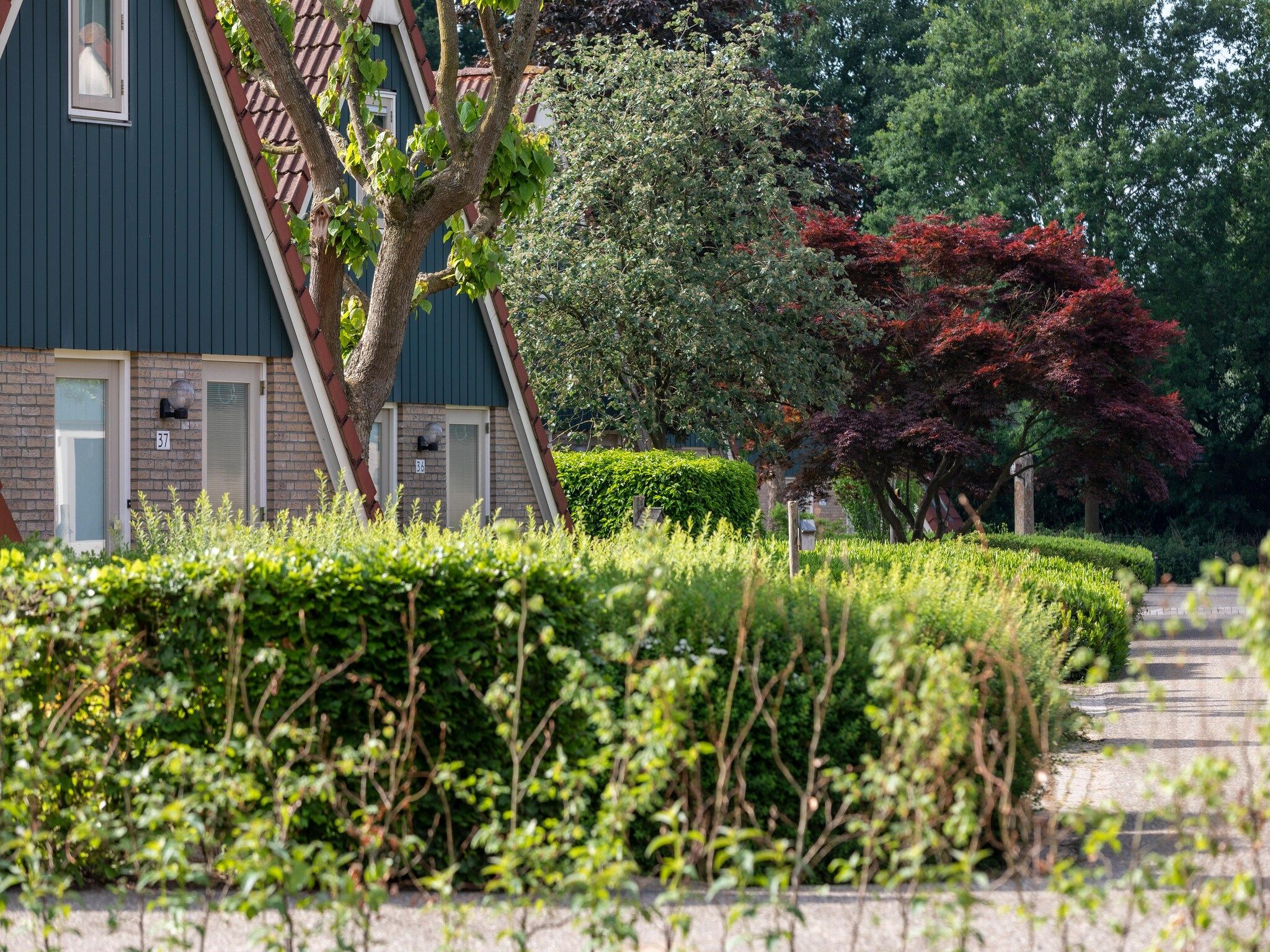 Parkfaciliteiten bij Vakantie bij Meeussen - Molendal 4 in Plasmolen