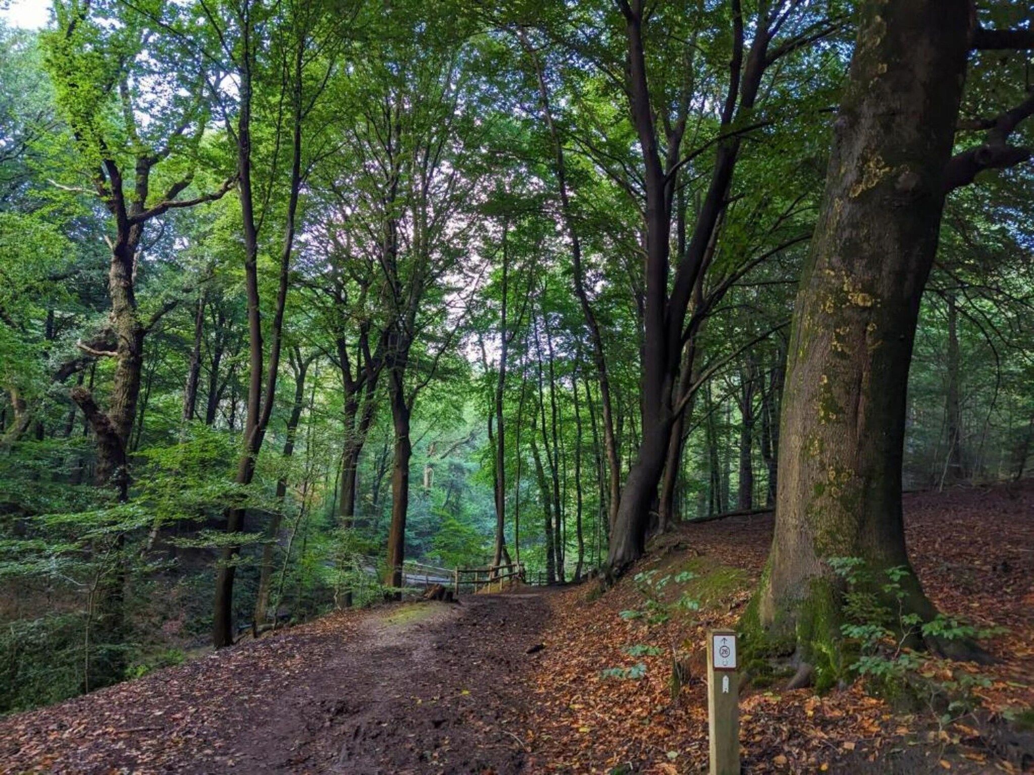 Vakantie bij Meeussen - Molendal 4 in Plasmolen - Foto 40 van 41