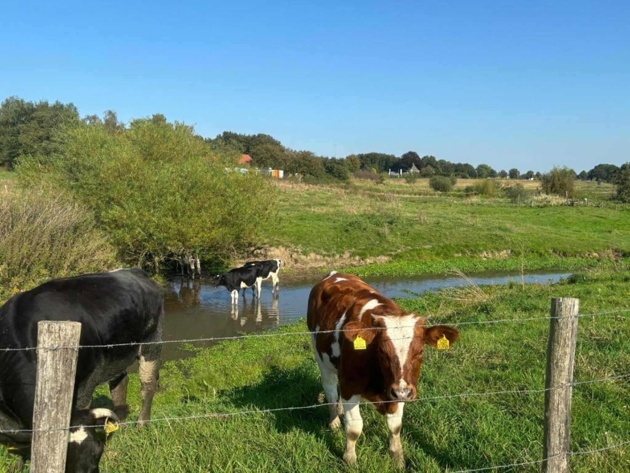 Vakantie bij Meeussen - Molendal 4 in Plasmolen - Foto 26 van 41