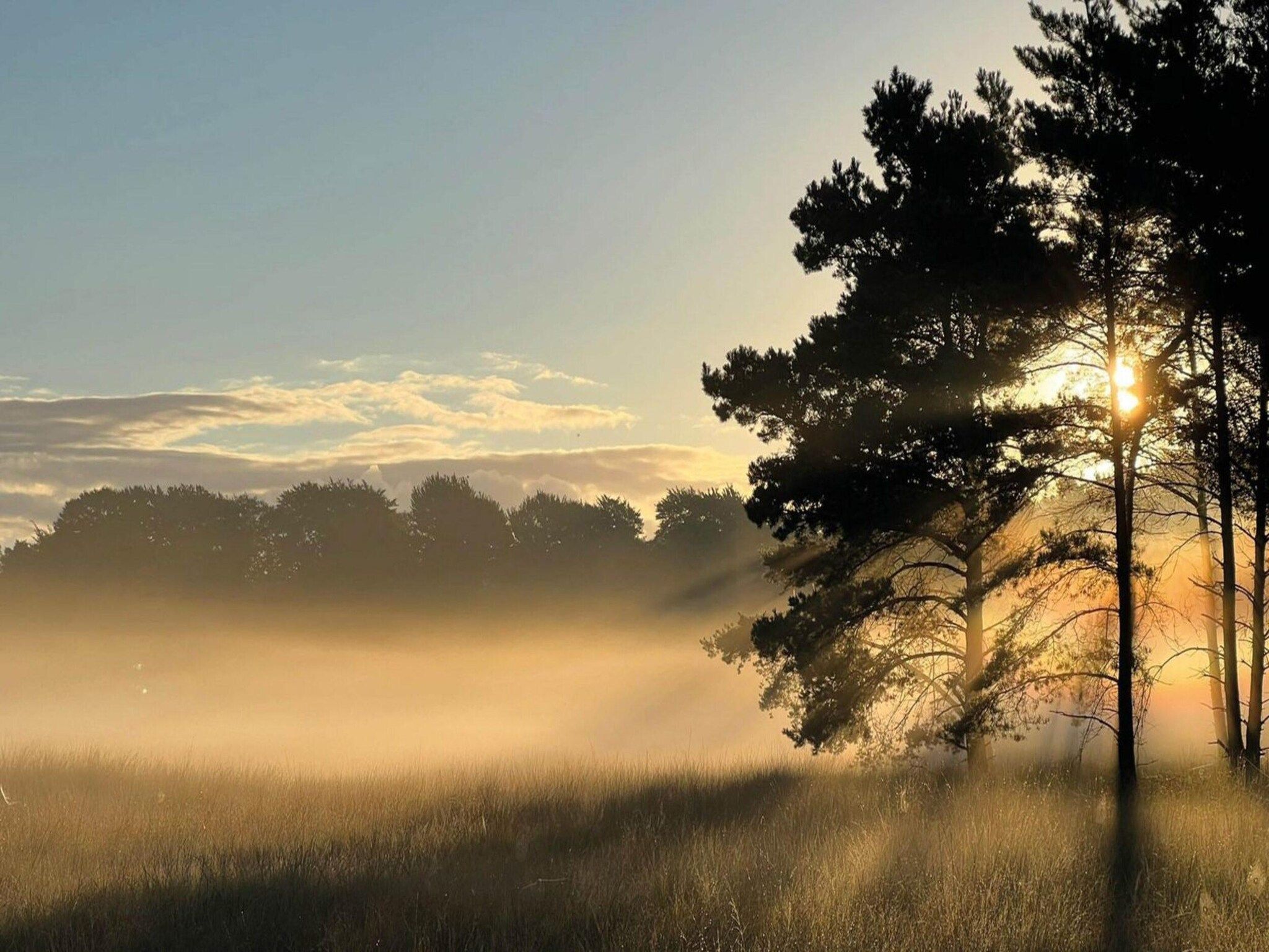 Dwergarend 17-17 in Voorthuizen - Foto 34 van 40