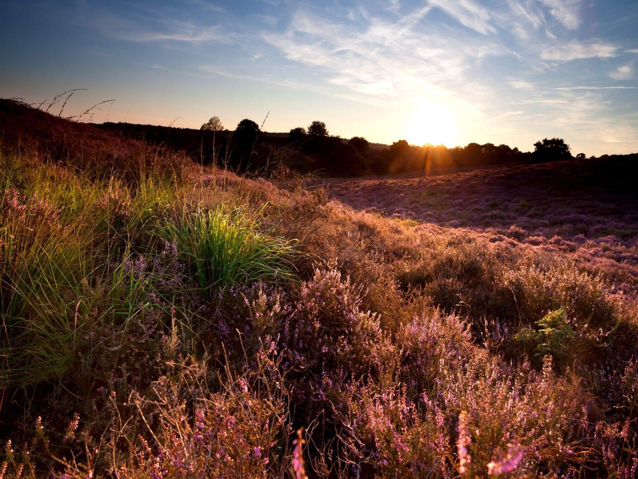 Dwergarend 17-18 in Voorthuizen - Foto 31 van 39