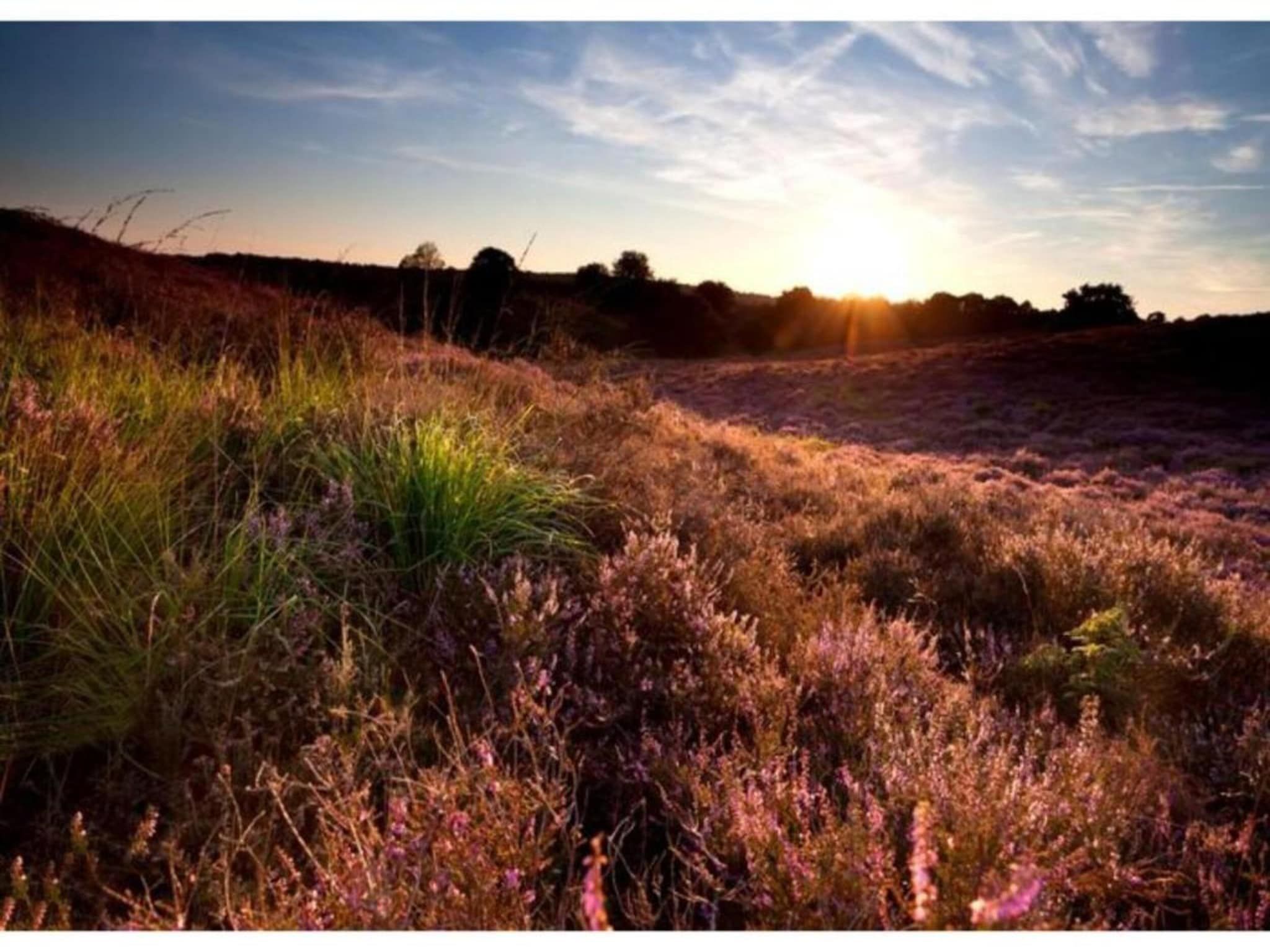 Dwergarend 17-19 in Voorthuizen - Foto 29 van 39