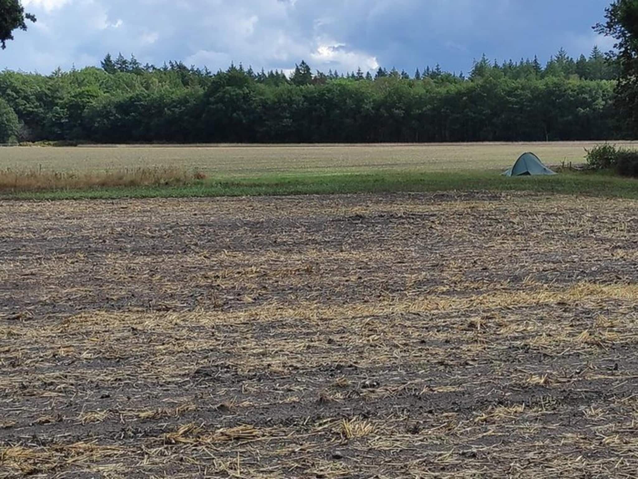 Dwergarend 17-19 in Voorthuizen - Foto 28 van 39