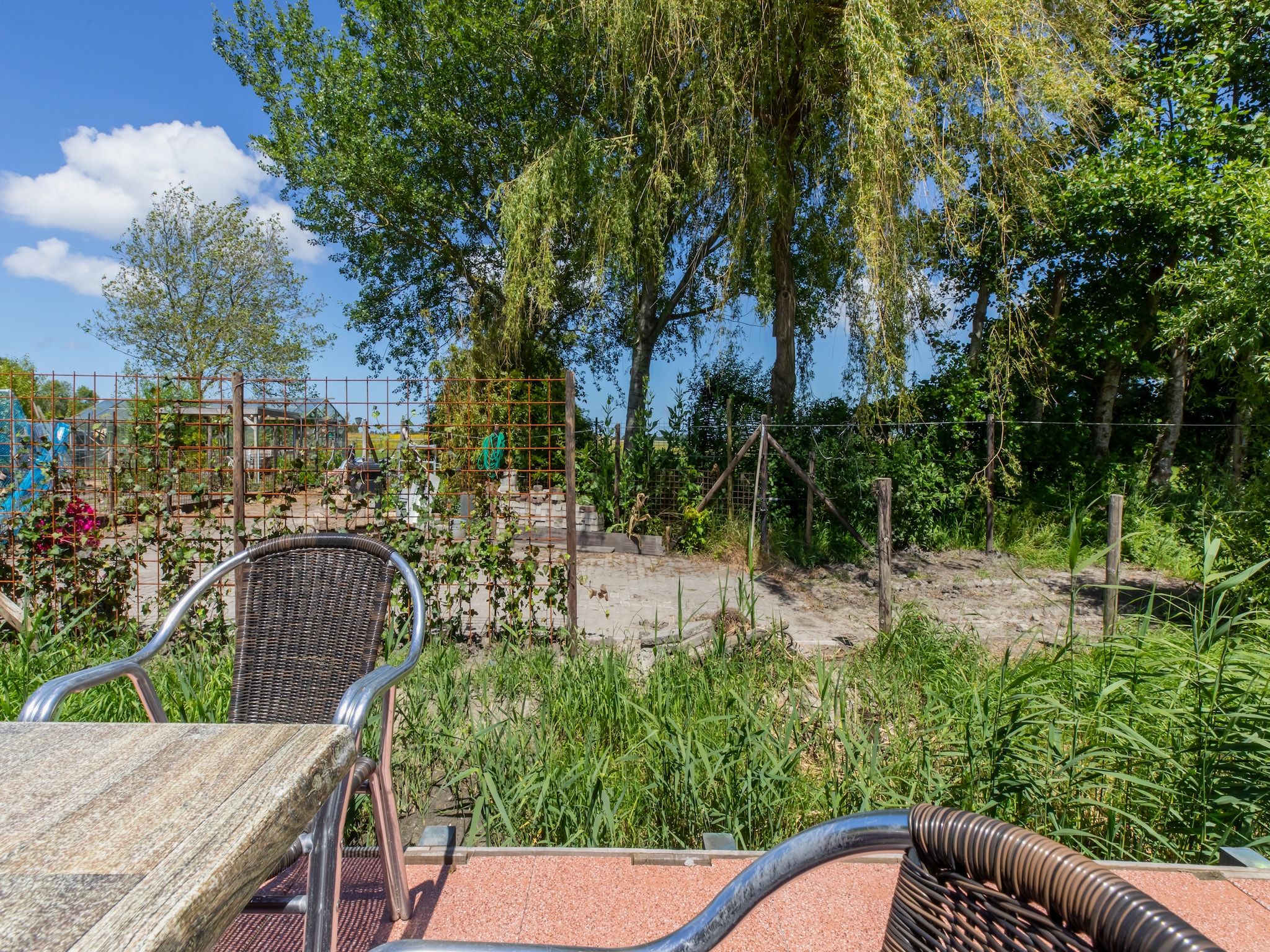 Het terras van Achterweg 10 l Zonnemaire 'Sol e Mar' in Zonnemaire