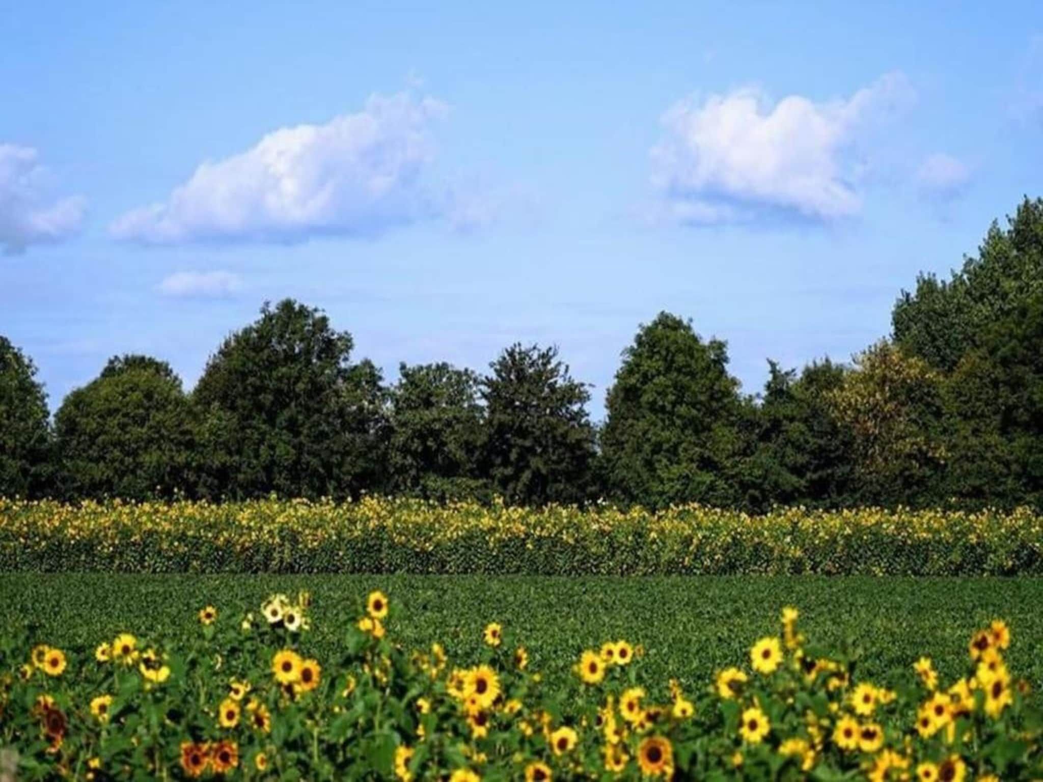 Achterweg 10 l Zonnemaire 'Sol e Mar' in Zonnemaire - Foto 25 van 40