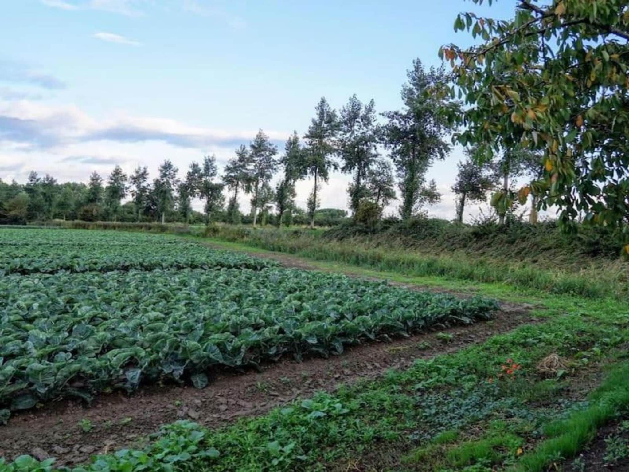 Achterweg 10 l Zonnemaire 'Sol e Mar' in Zonnemaire - Foto 26 van 40
