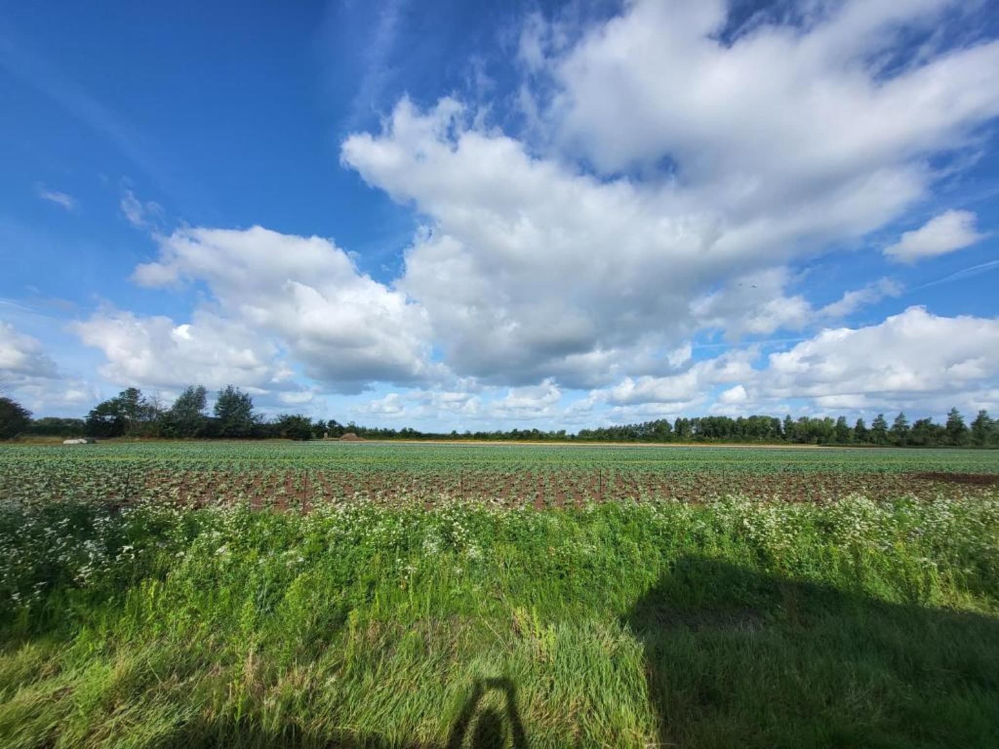 Achterweg 10 l Zonnemaire 'Sol e Mar' in Zonnemaire - Foto 37 van 40
