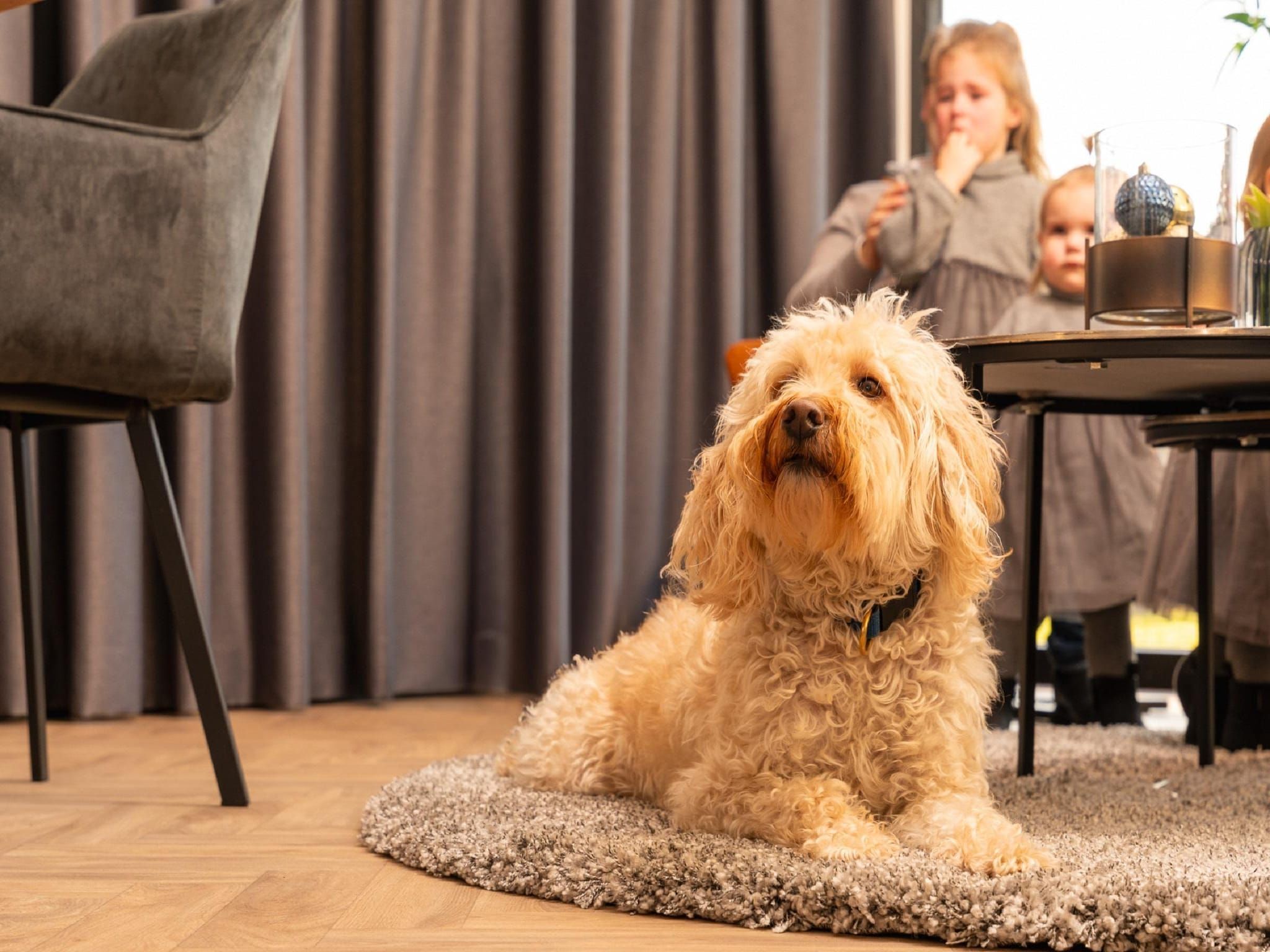 Sfeerbeeld van MarinaPark Nieuw Loosdrecht 3 in Nieuw-Loosdrecht