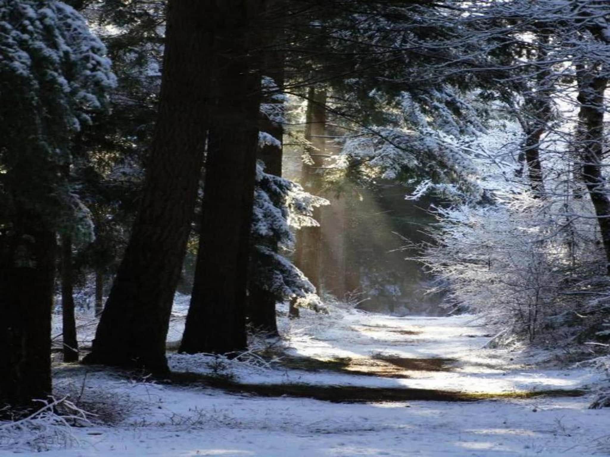 't Landgoed Baars 1 in Baars - Foto 33 van 38