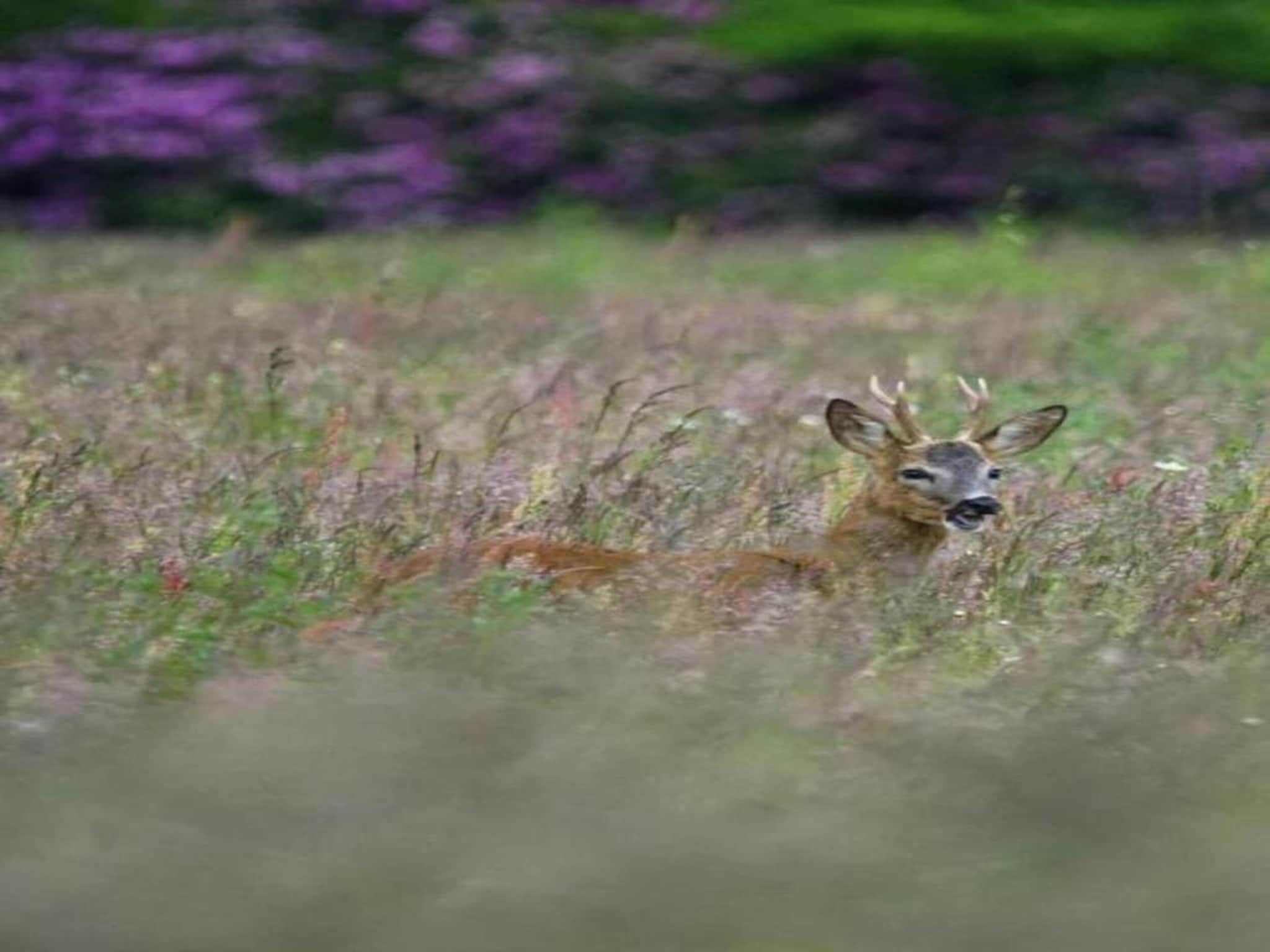 't Landgoed Baars 3 in Baars - Foto 23 van 34