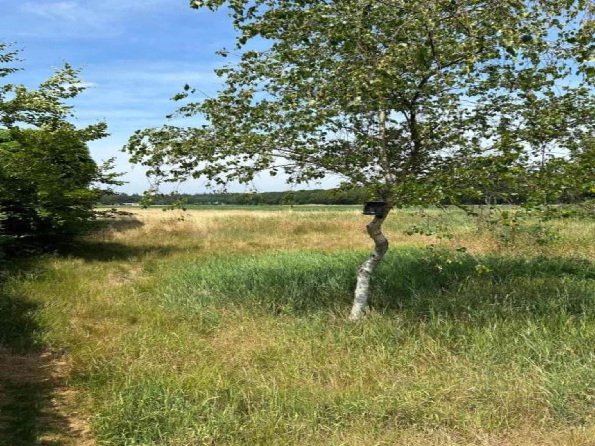 't Landgoed Baars 3 in Baars - Foto 28 van 34