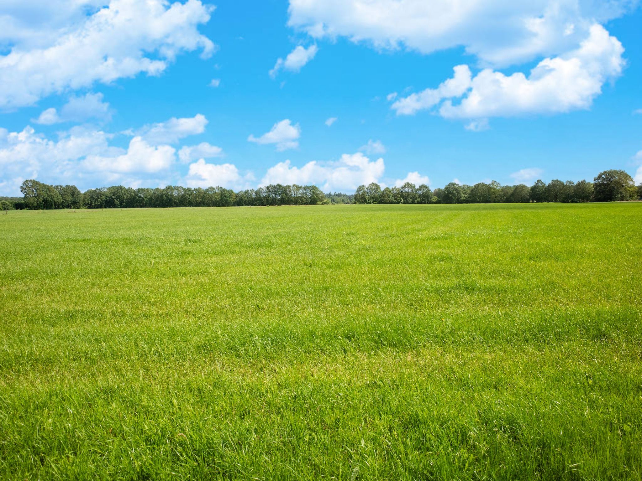 Luxe vakantiehuis Veluwe met Wellness in Veluwe - Foto 21 van 31
