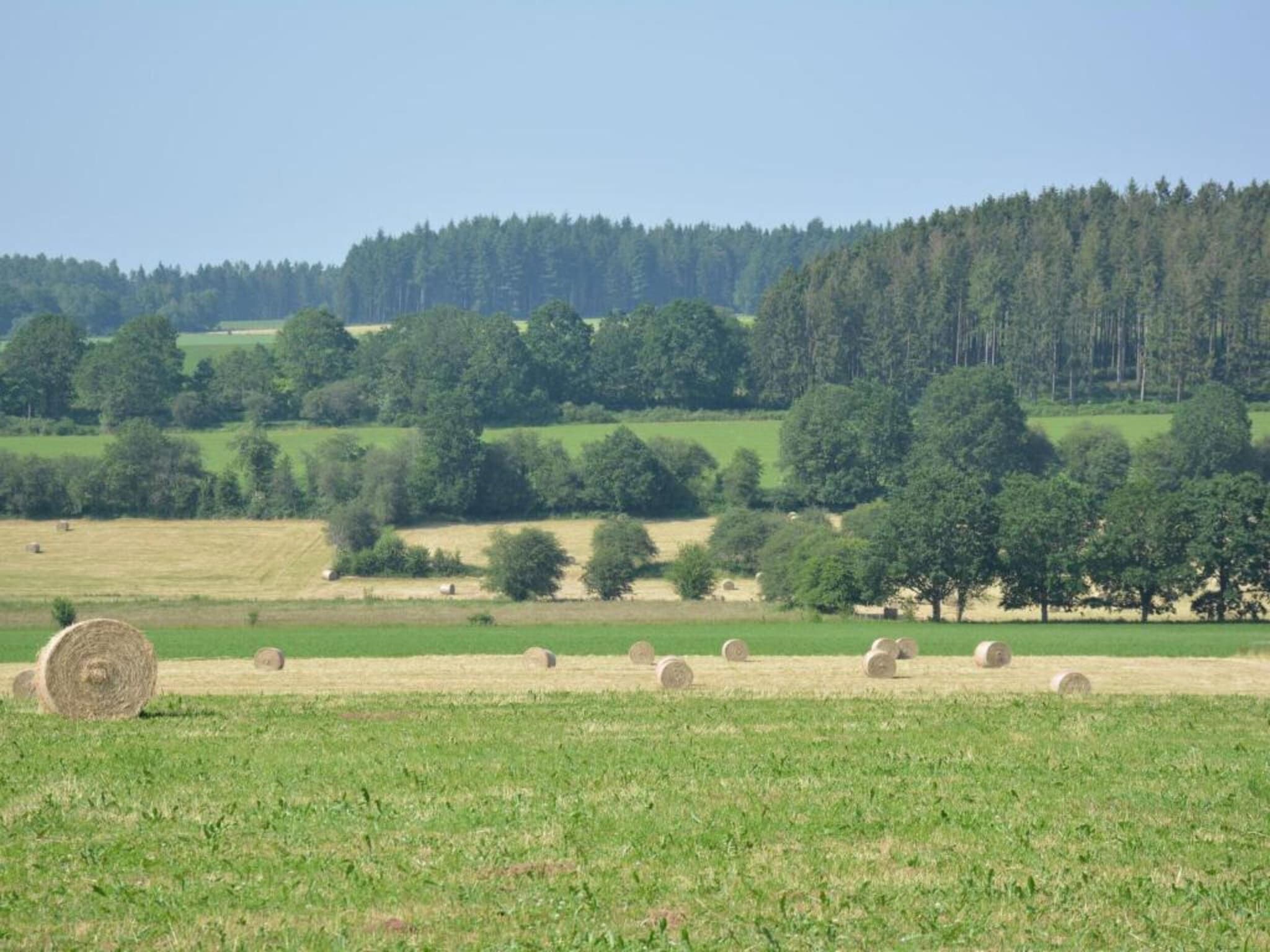 Luxe vakantiehuis Veluwe met Wellness in Veluwe - Foto 23 van 31