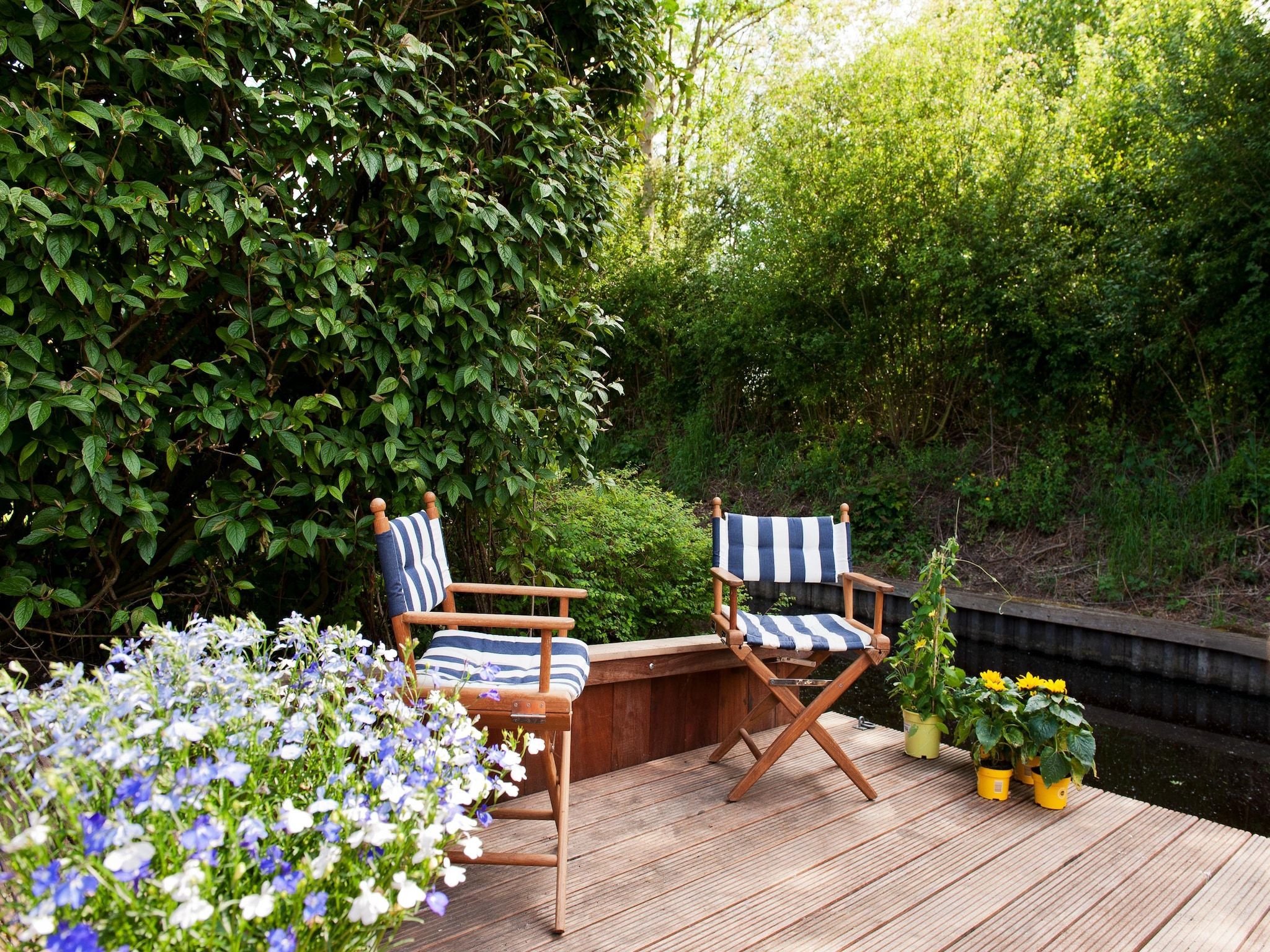 De tuin van Grand Tolve Wellness de luxe met sauna buitenspa in Earnewald