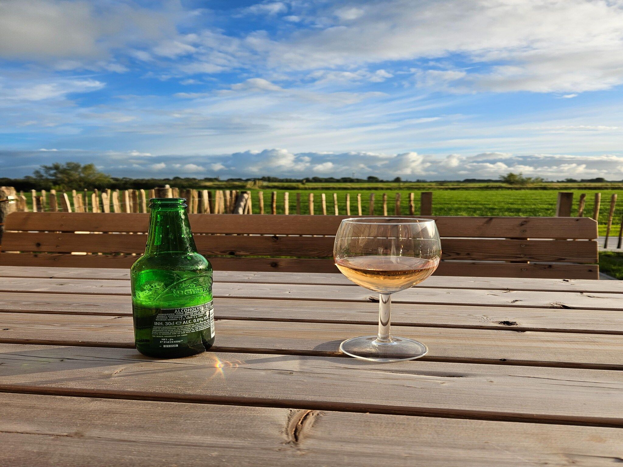 Sfeerbeeld van Friese villa in Leons in Leons