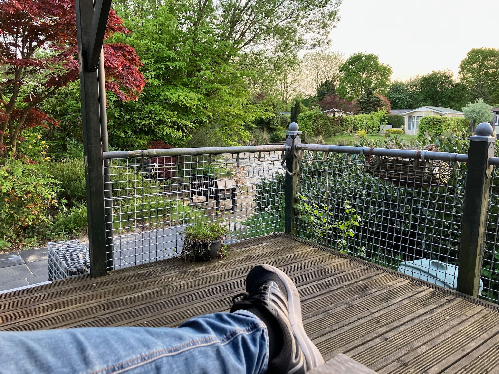 Het terras van Knus chalet In een rustige omgeving met vijver in Stegeren