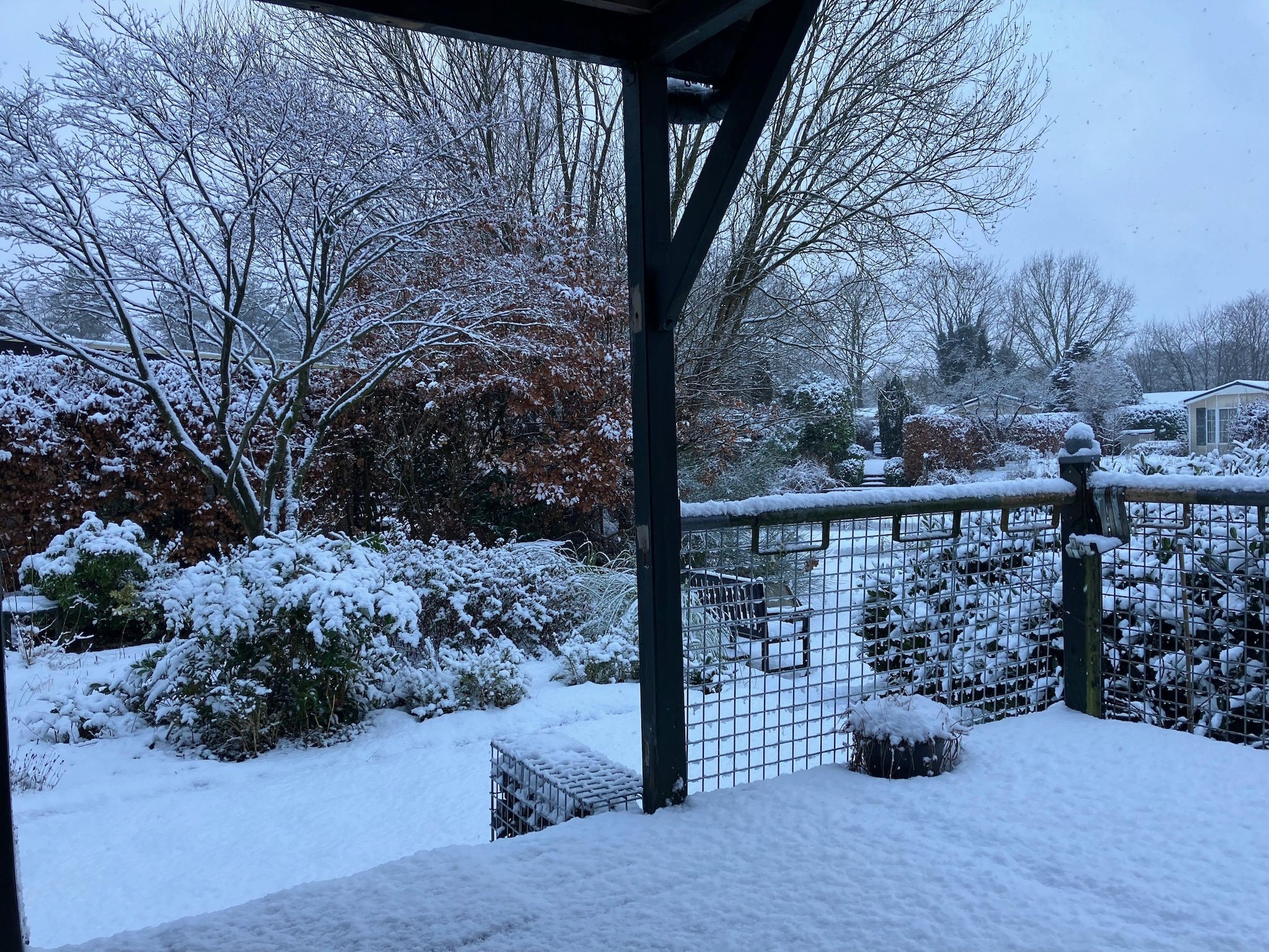 De tuin van Knus chalet In een rustige omgeving met vijver in Stegeren