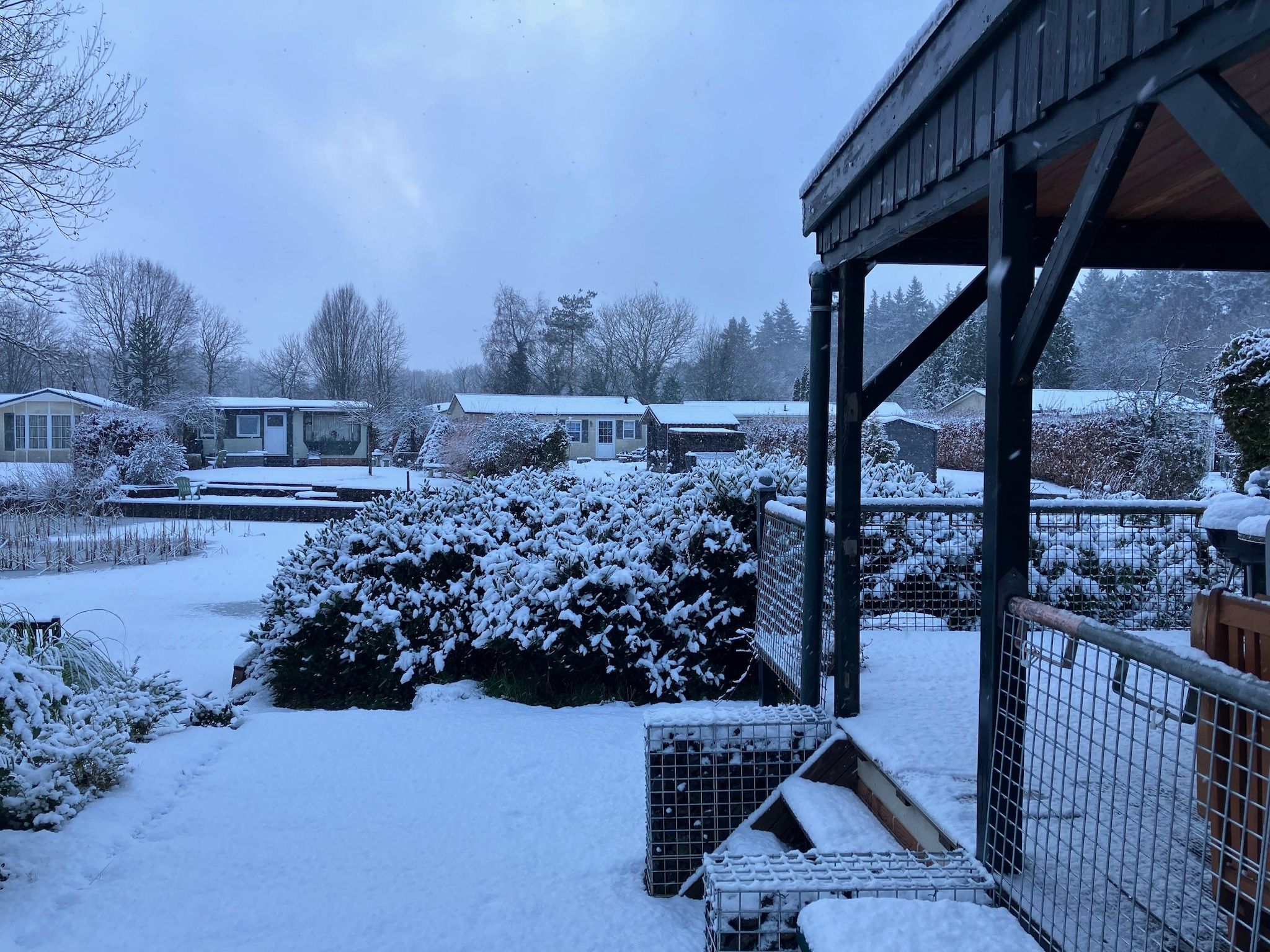 De tuin van Knus chalet In een rustige omgeving met vijver in Stegeren