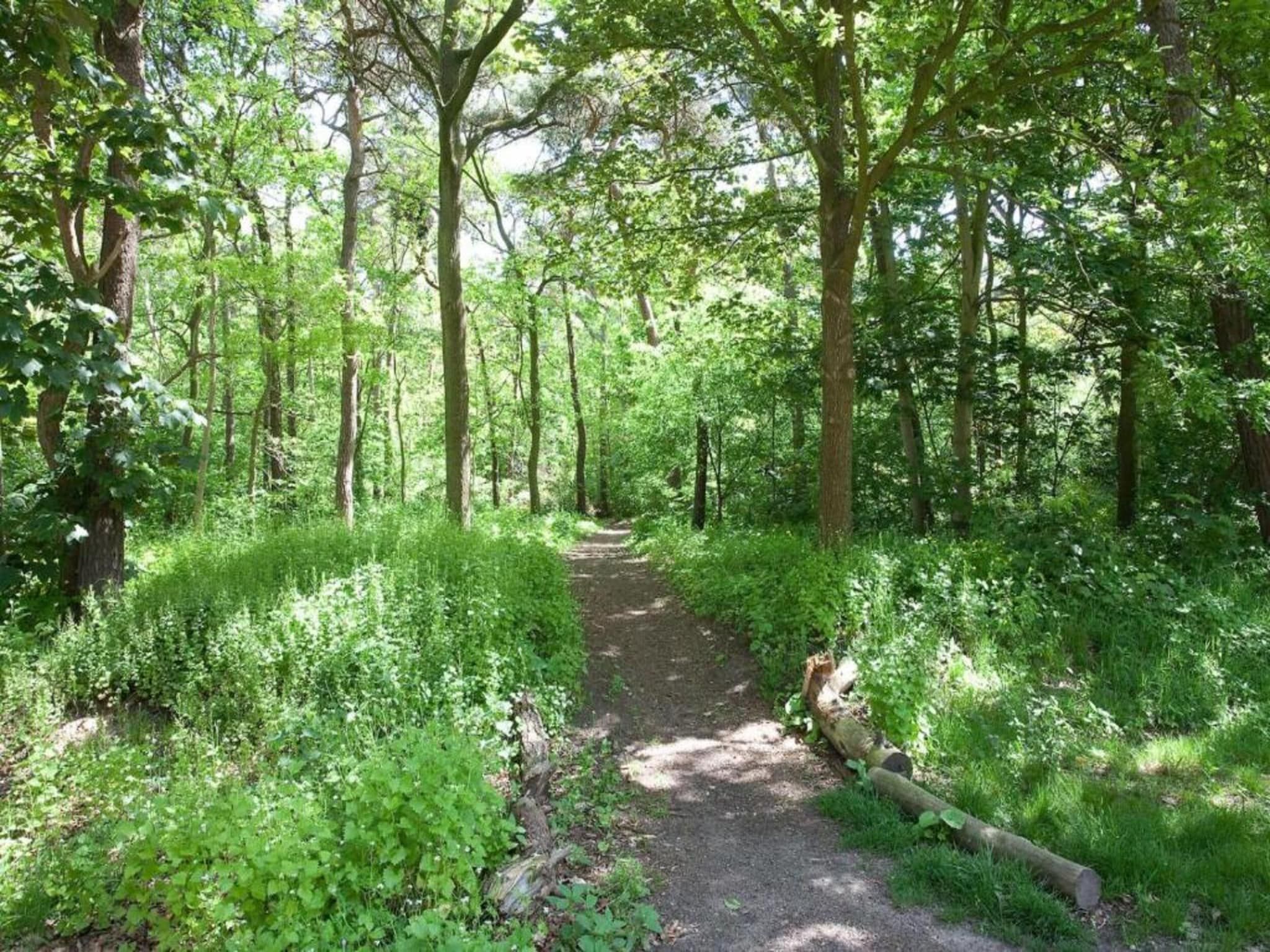De omgeving van Vakantiepark de Katjeskelder 25 in Oosterhout