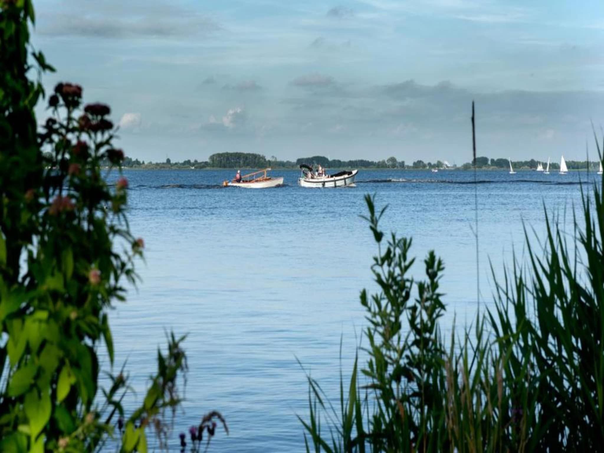 De omgeving van Houseboat - Paviljoenwei 4  Sneek Offingawier 'Boatique Sneek' in Offingawier